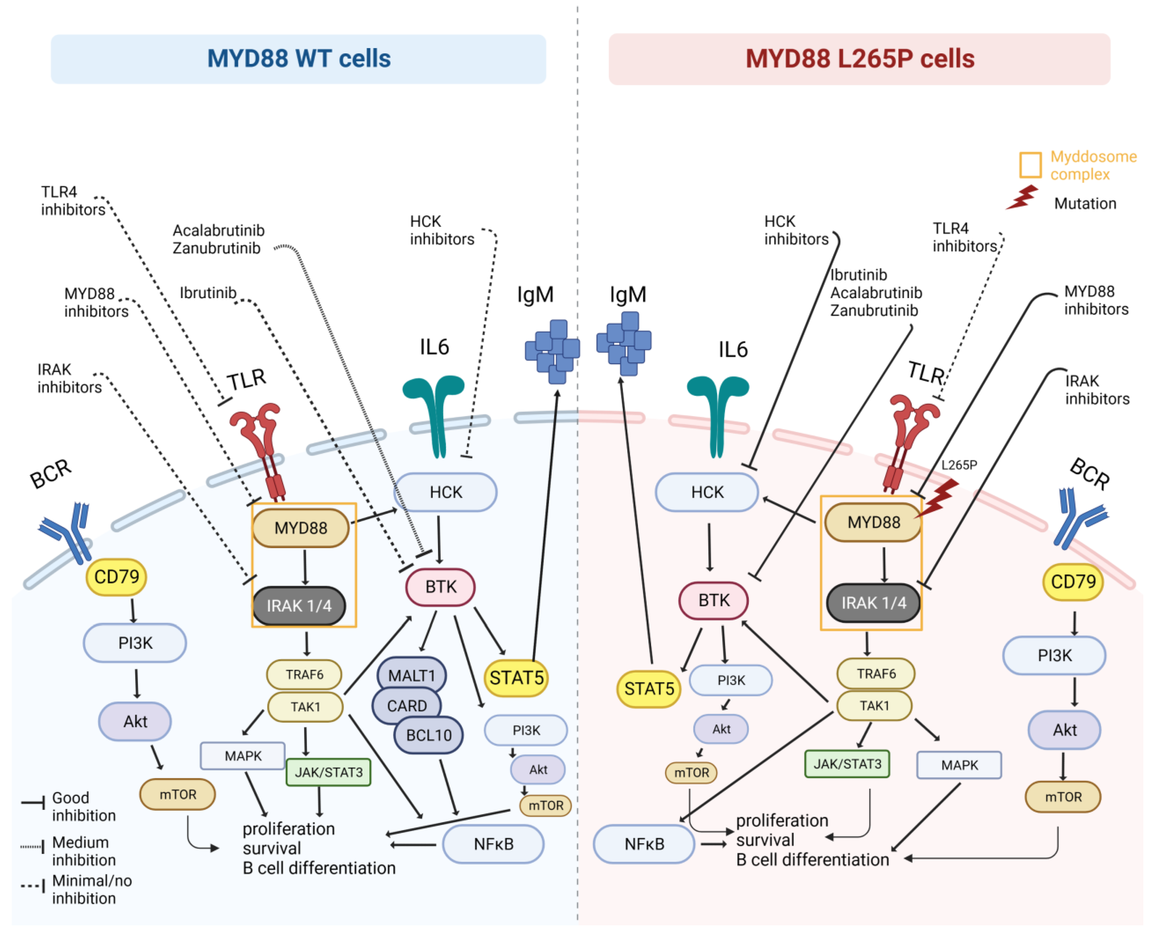 Hemato 04 00021 g001 Hemato 04 00021 g001