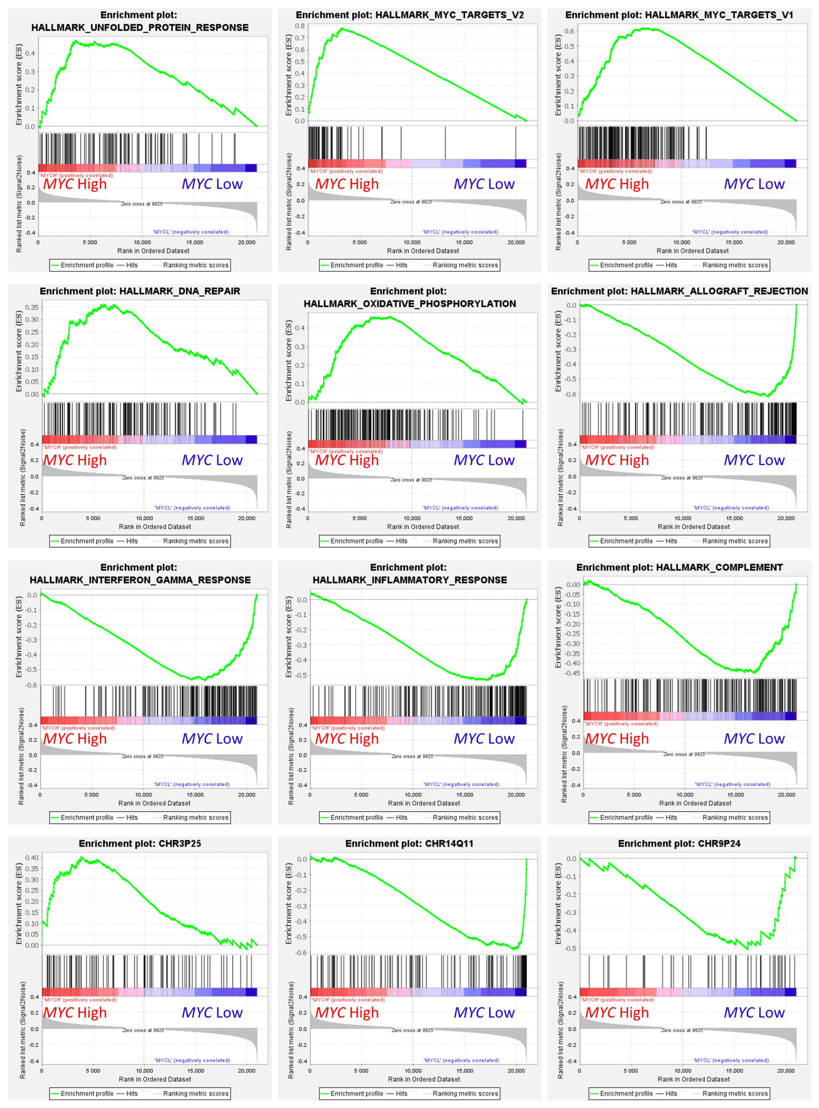 Hemato 05 00011 g012