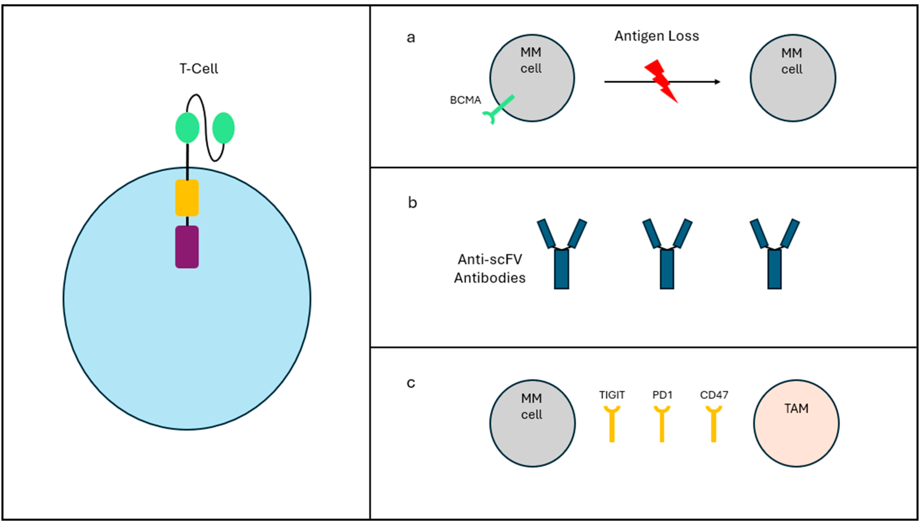 Hemato 05 00015 g002