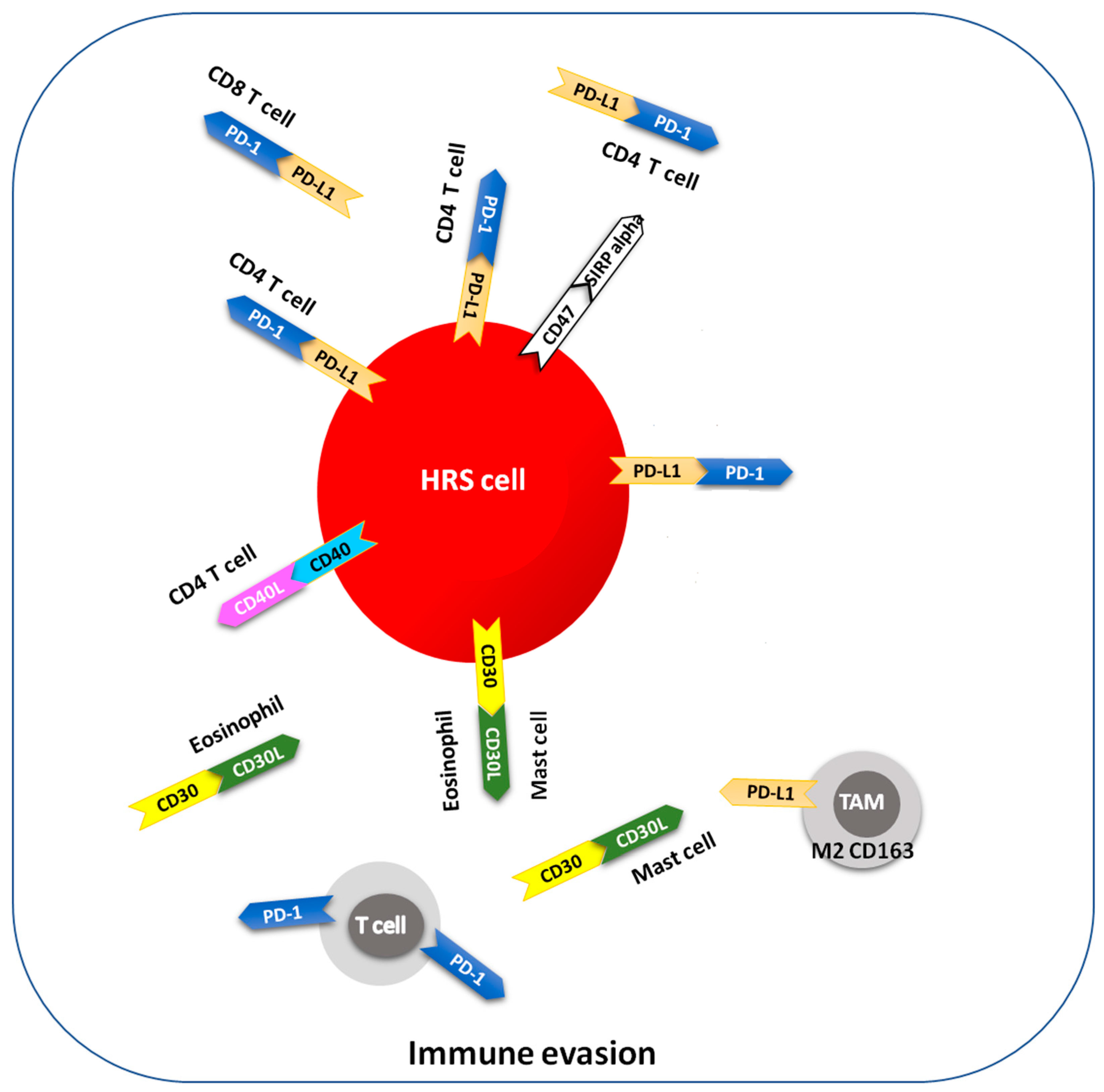 Hemato 05 00016 g002