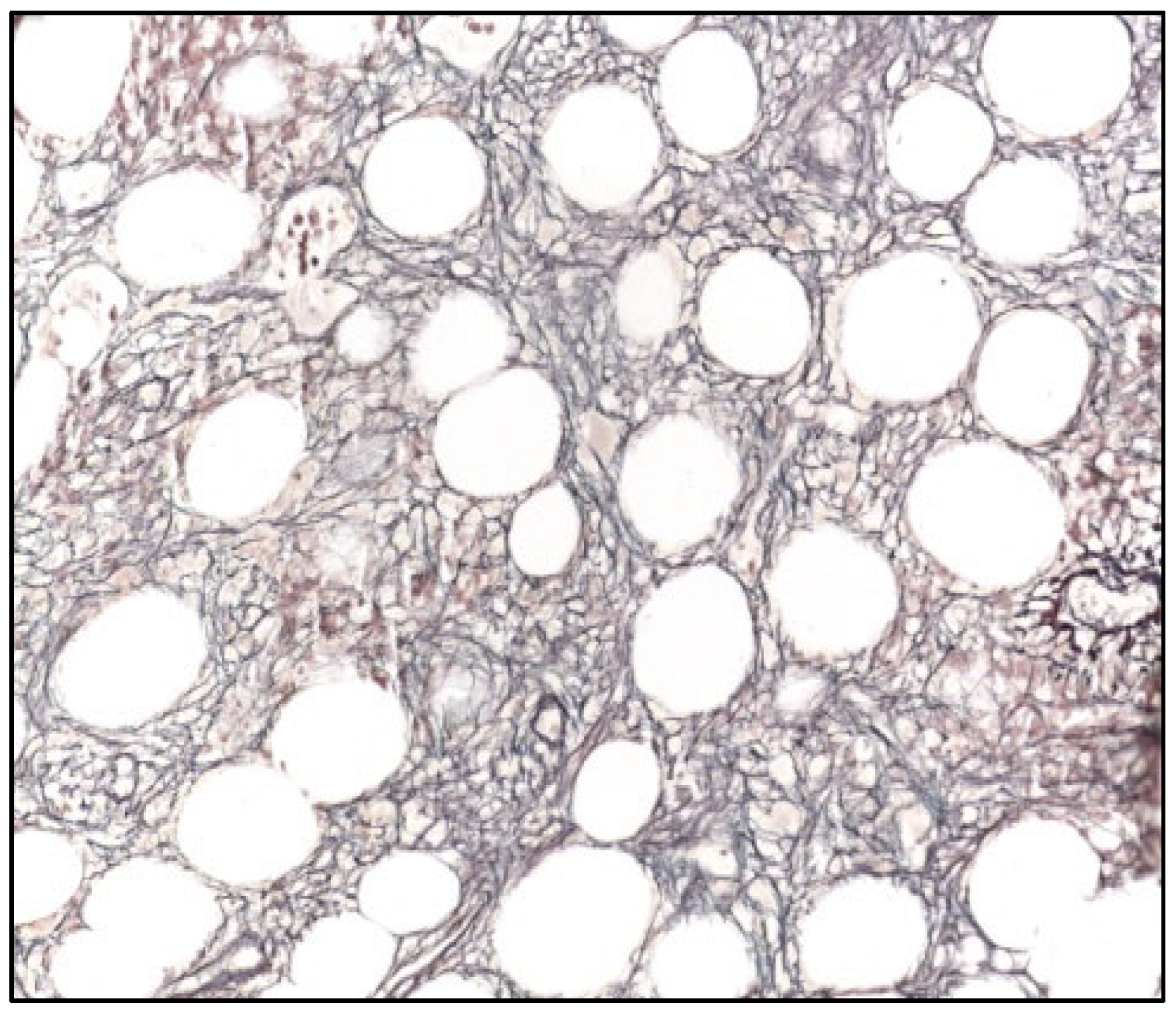 Hemato 05 00021 g002