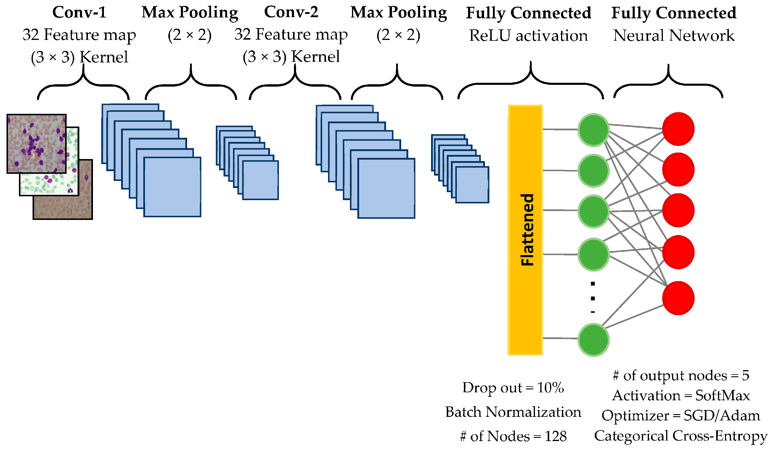 Hemato 05 00027 g001