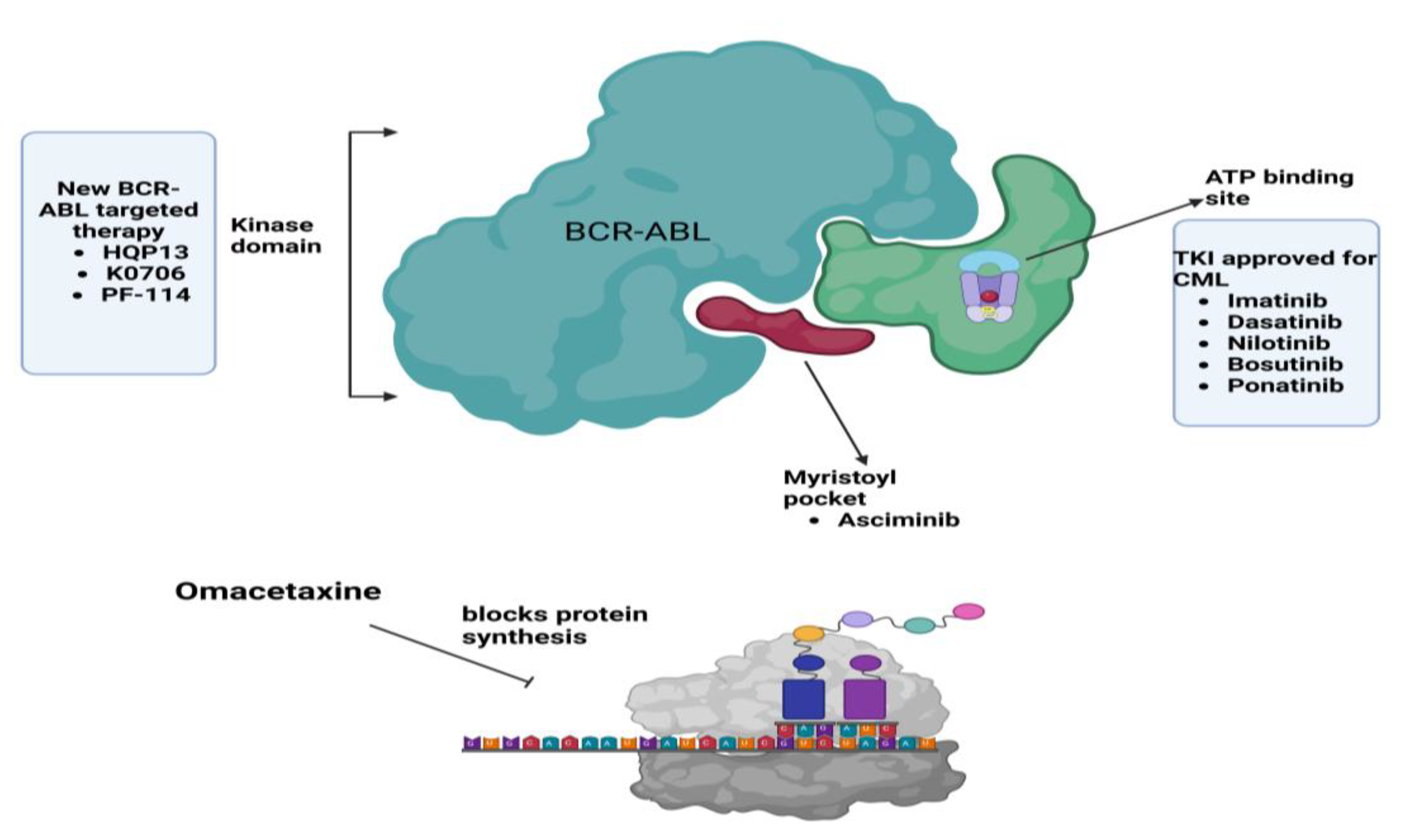 Hemato 06 00006 g002