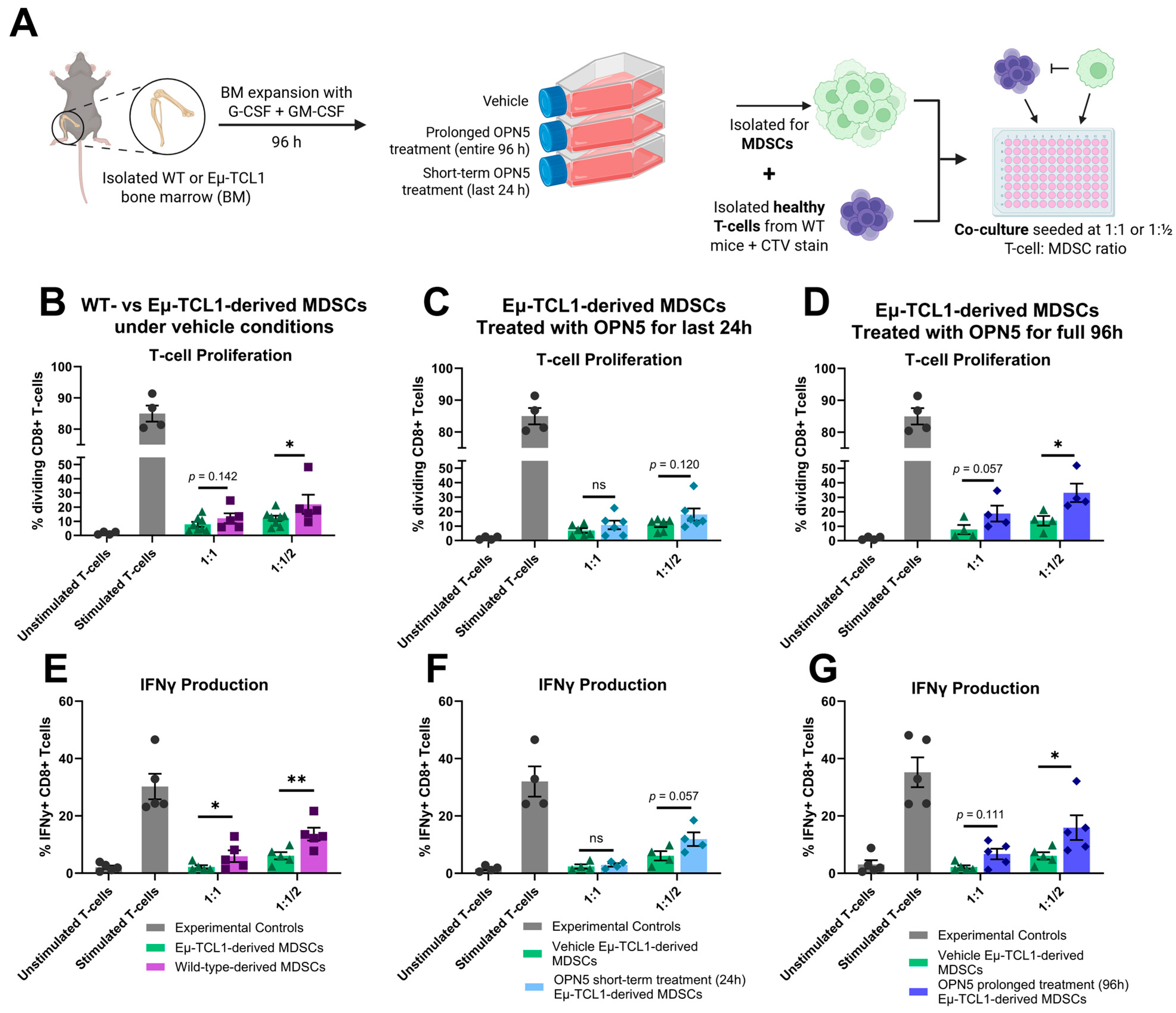 Hemato 06 00014 g002