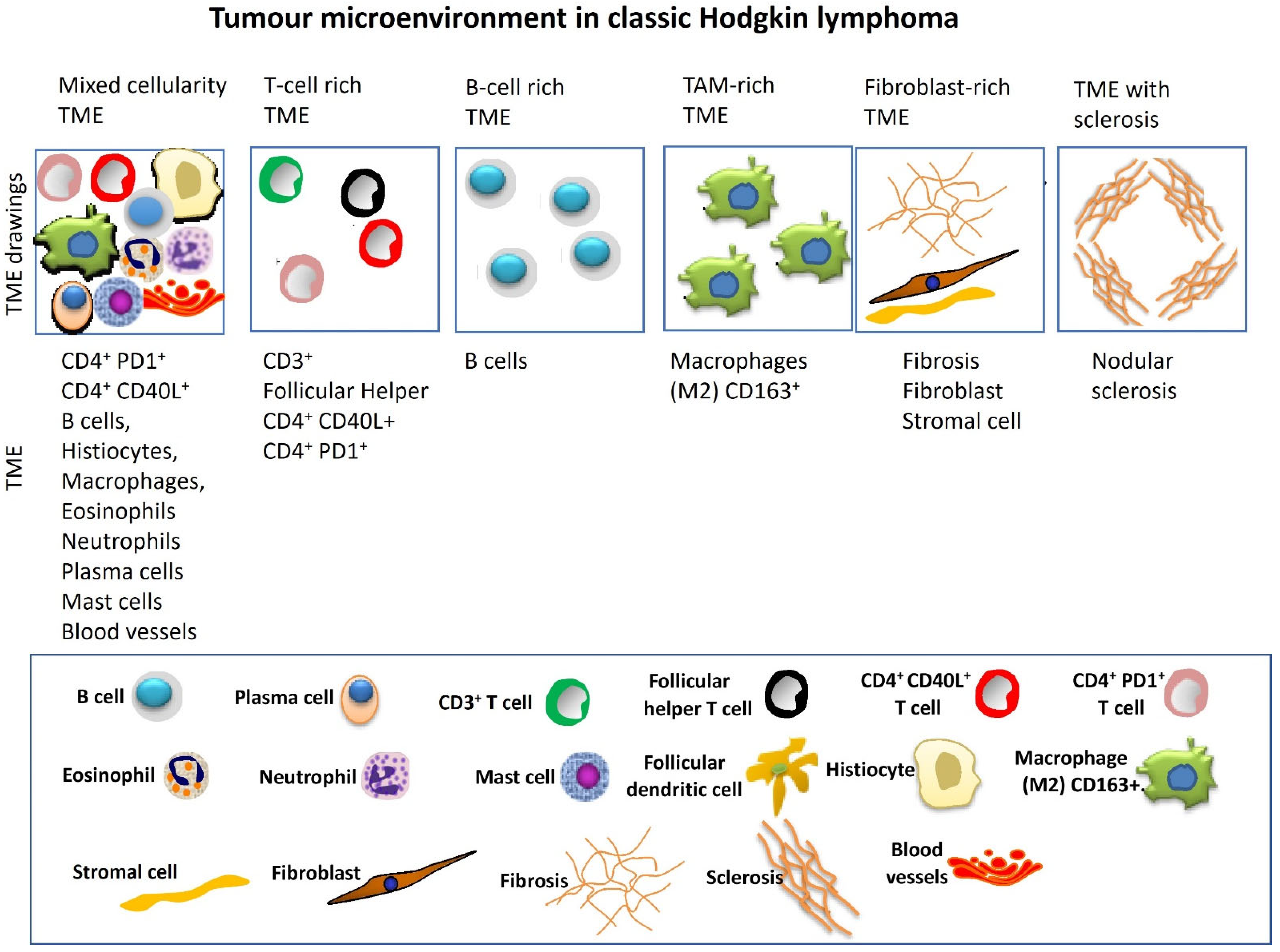 Hemato 06 00020 g003