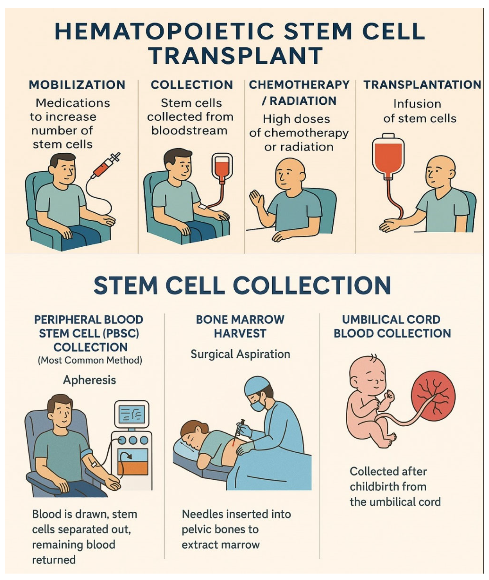 Hemato 06 00024 g001