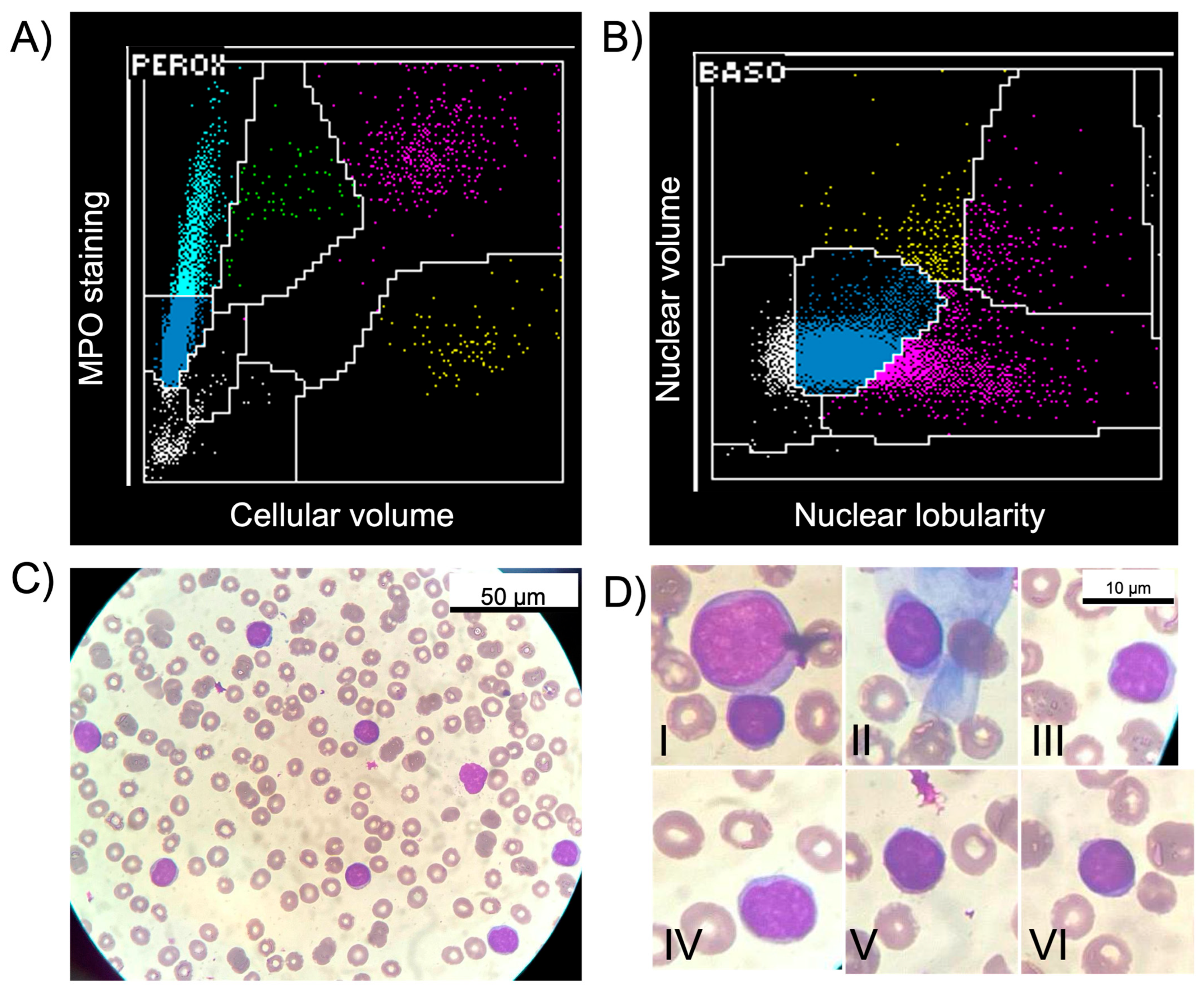 Hemato 06 00027 g001 Hemato 06 00027 g001
