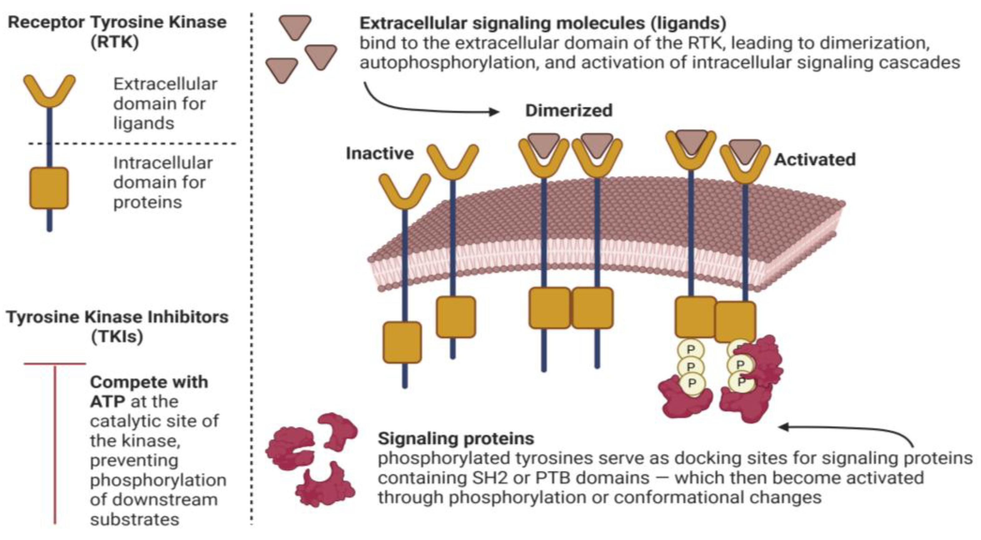 Hemato 06 00040 g001