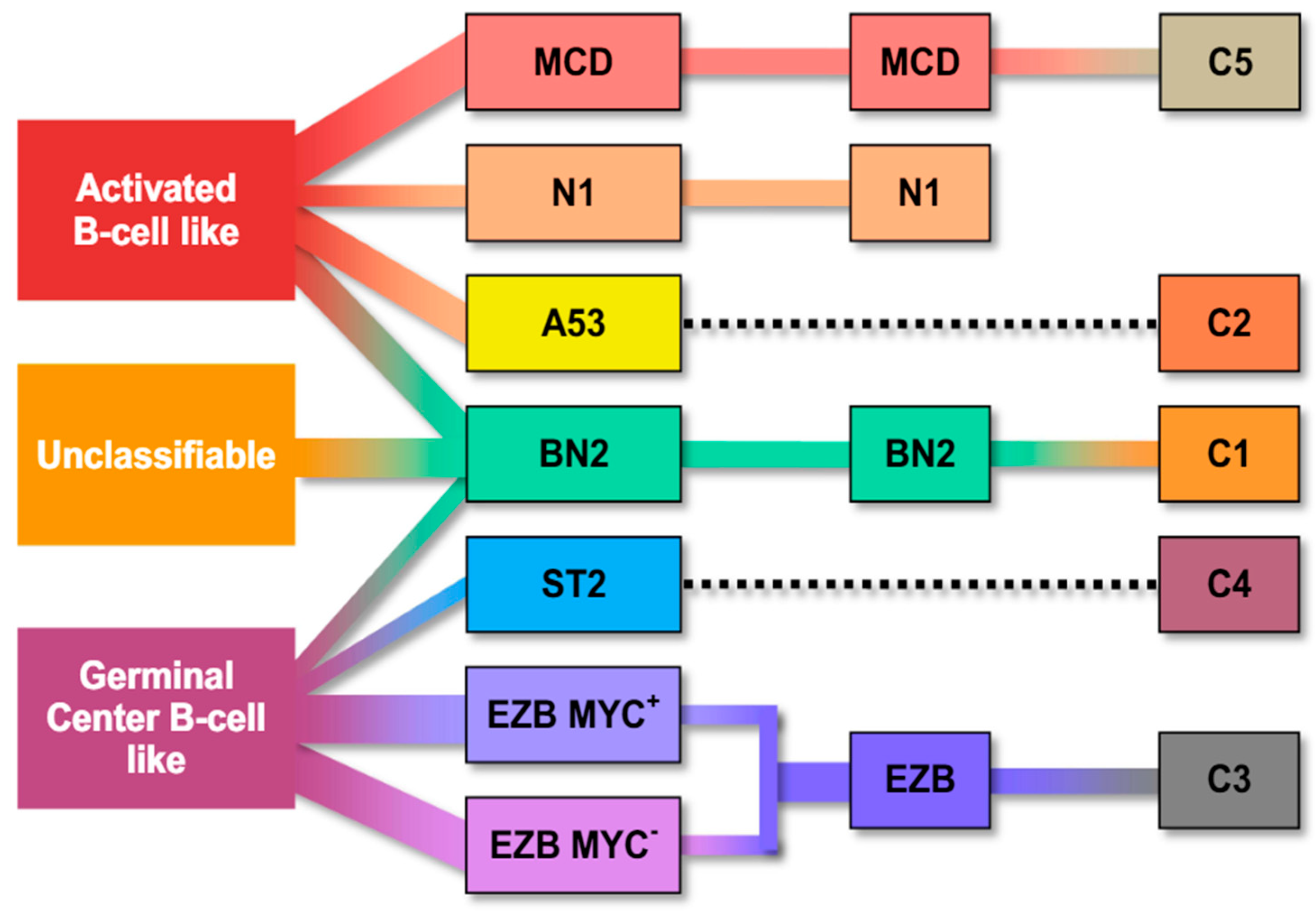 Hemato 06 00043 g001