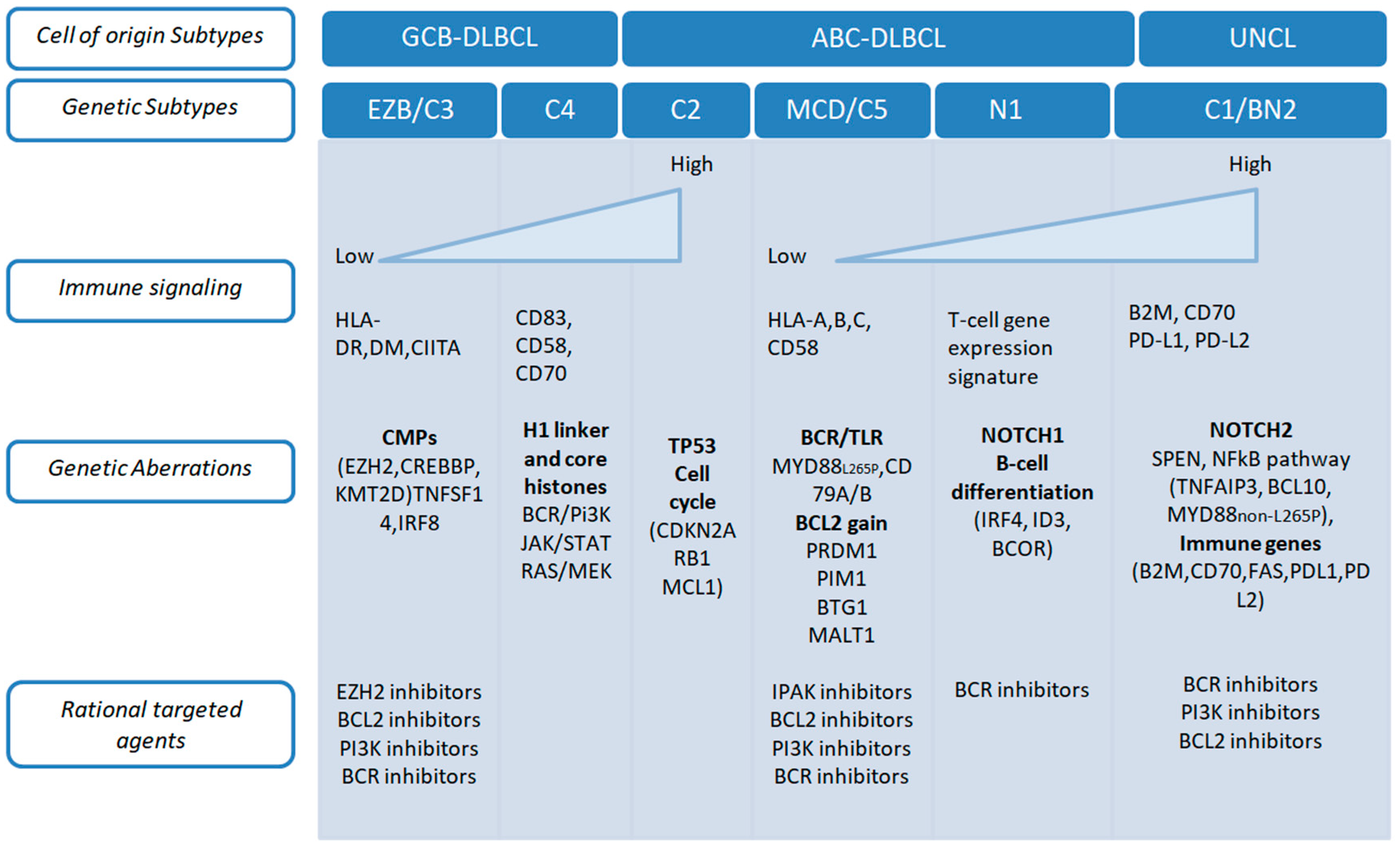 Hemato 06 00043 g002