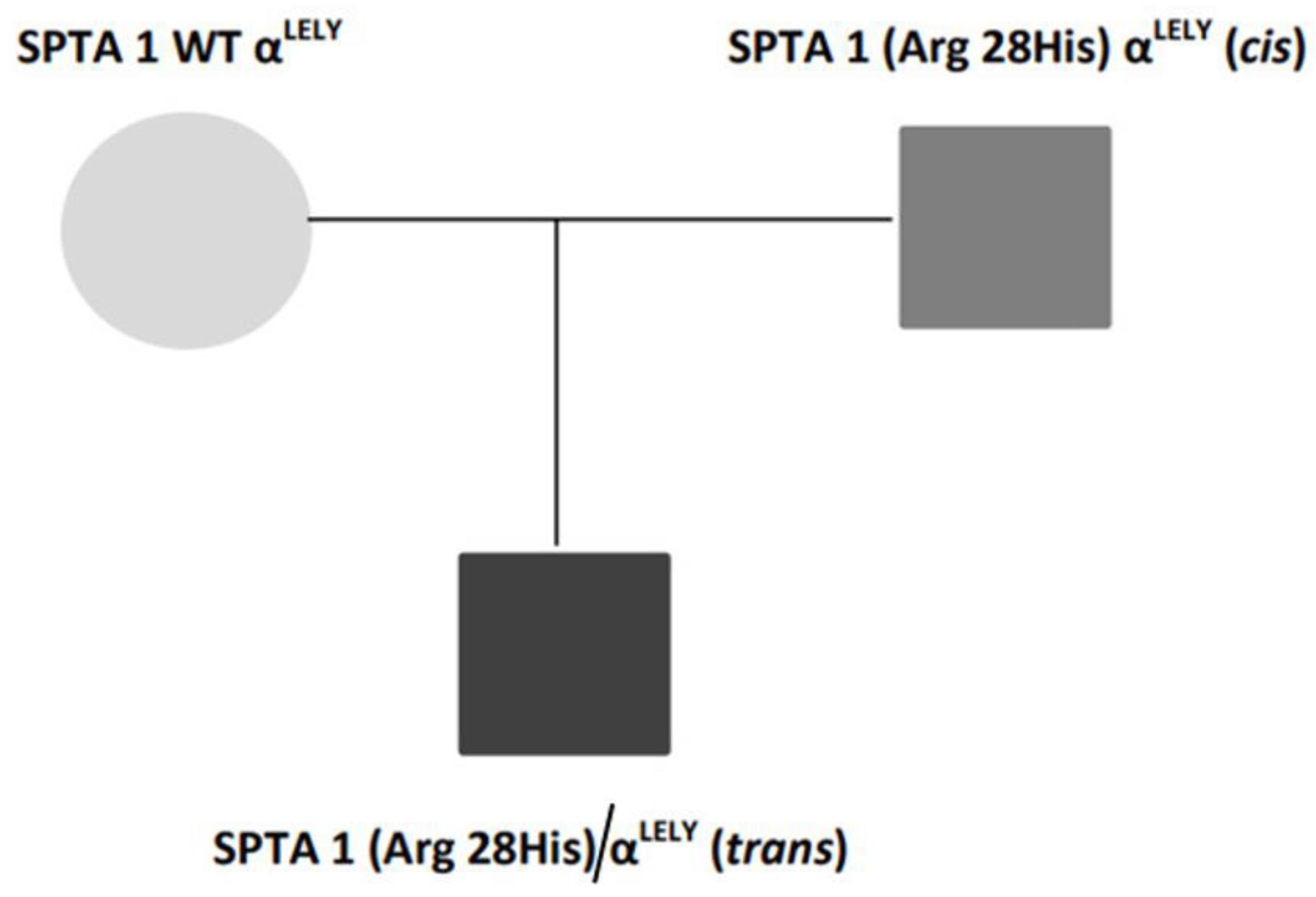 Hematolrep 14 00043 g002