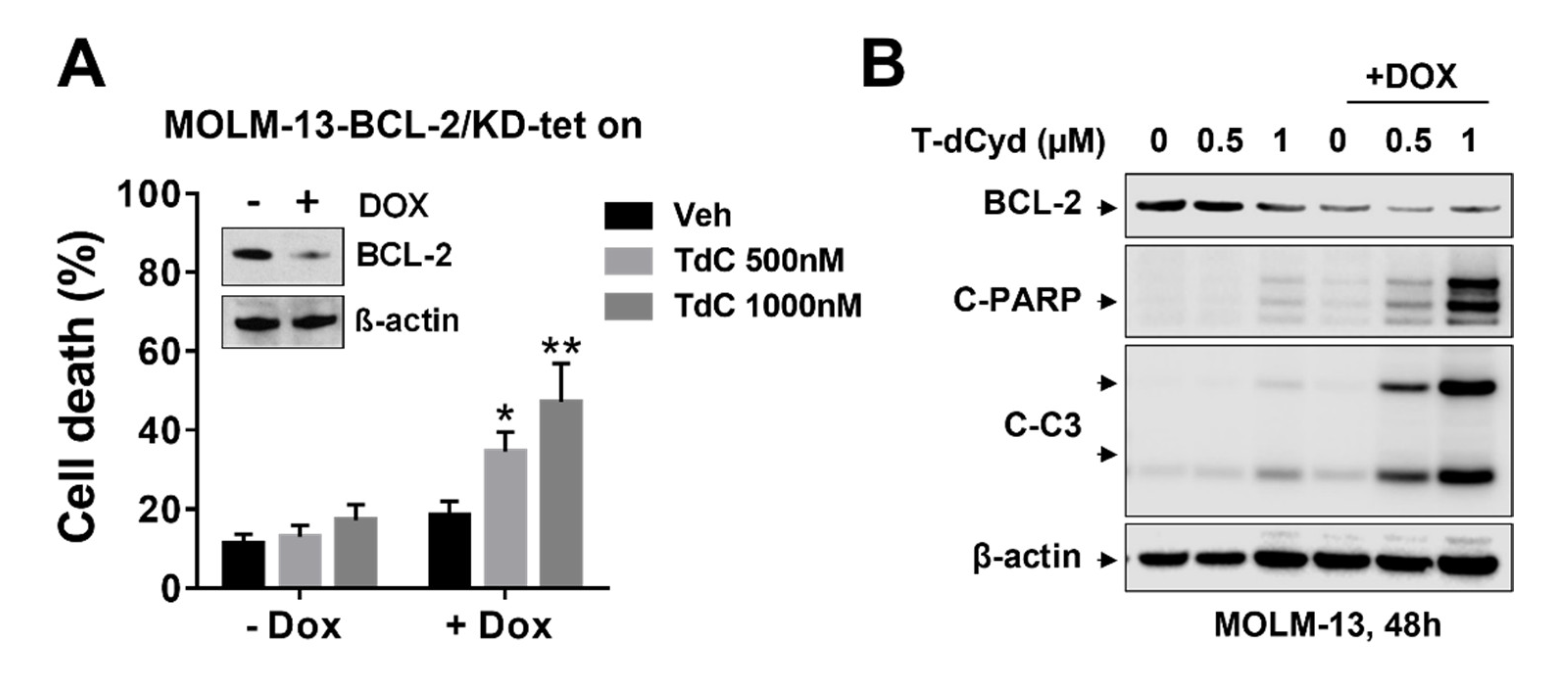 Hematolrep 15 00010 g002 Hematolrep 15 00010 g002