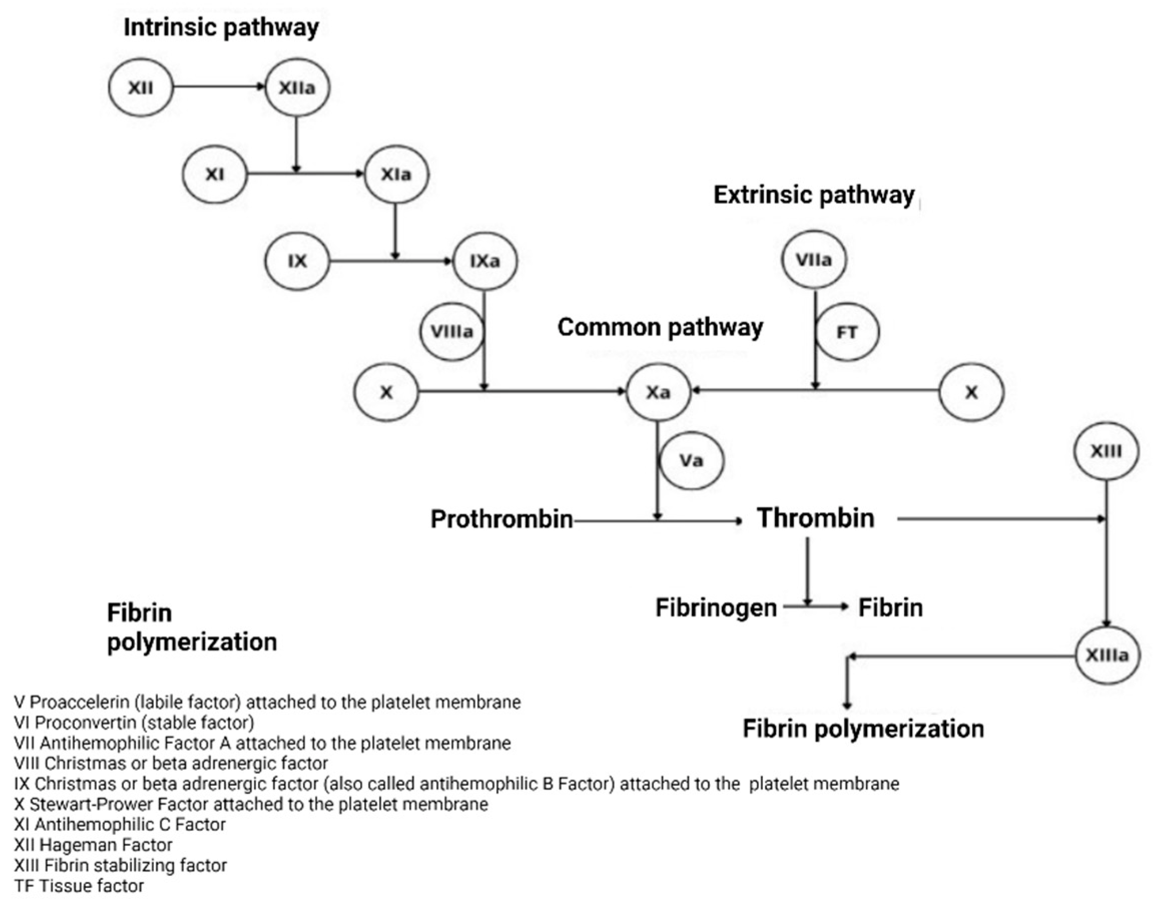 Hematolrep 15 00014 g001 Hematolrep 15 00014 g001