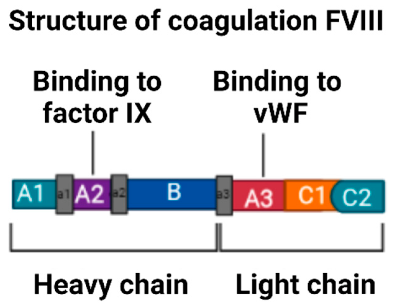 Hematolrep 15 00014 g004 Hematolrep 15 00014 g004