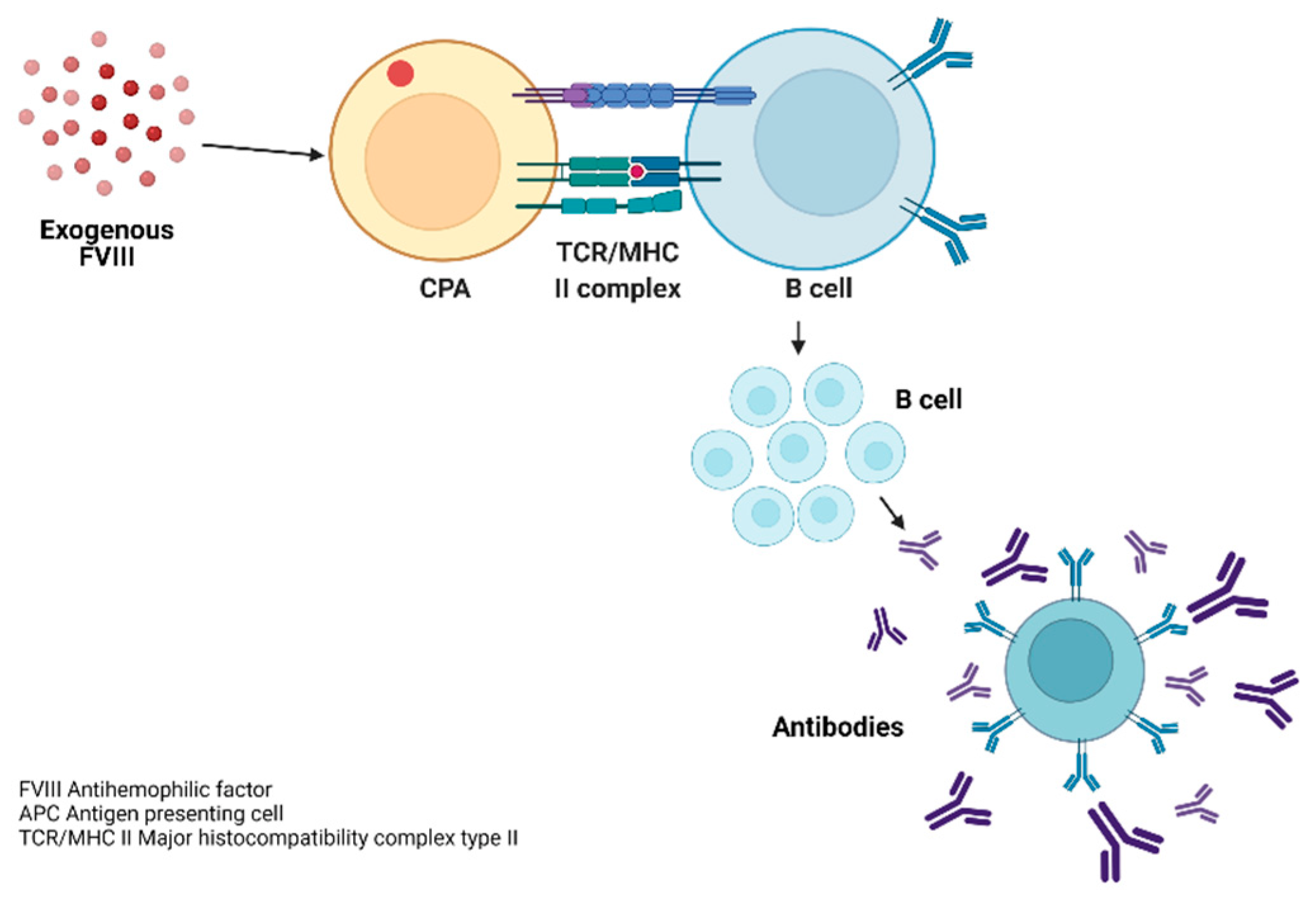 Hematolrep 15 00014 g005 Hematolrep 15 00014 g005
