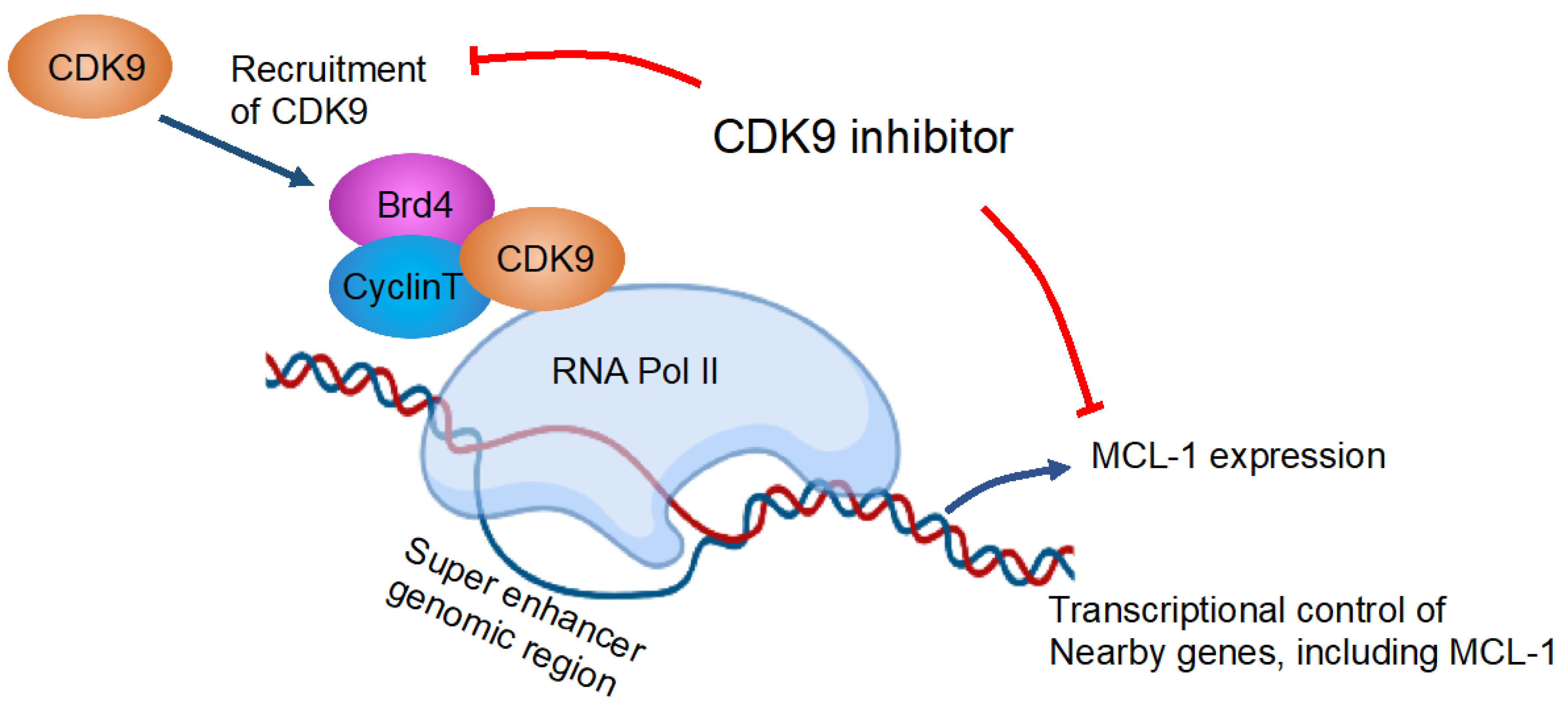 Hematolrep 15 00035 g002 Hematolrep 15 00035 g002