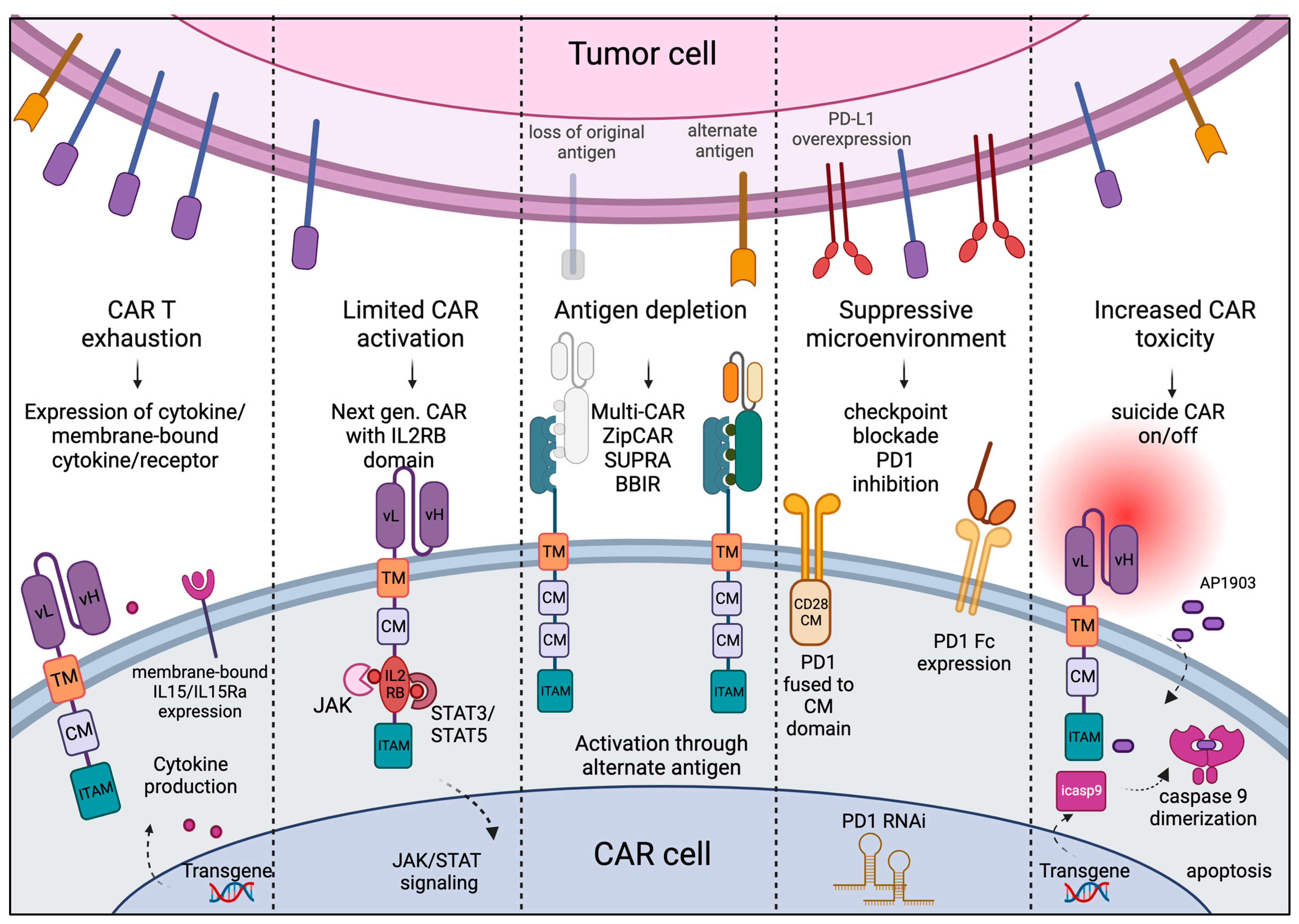 Hematolrep 15 00063 g002