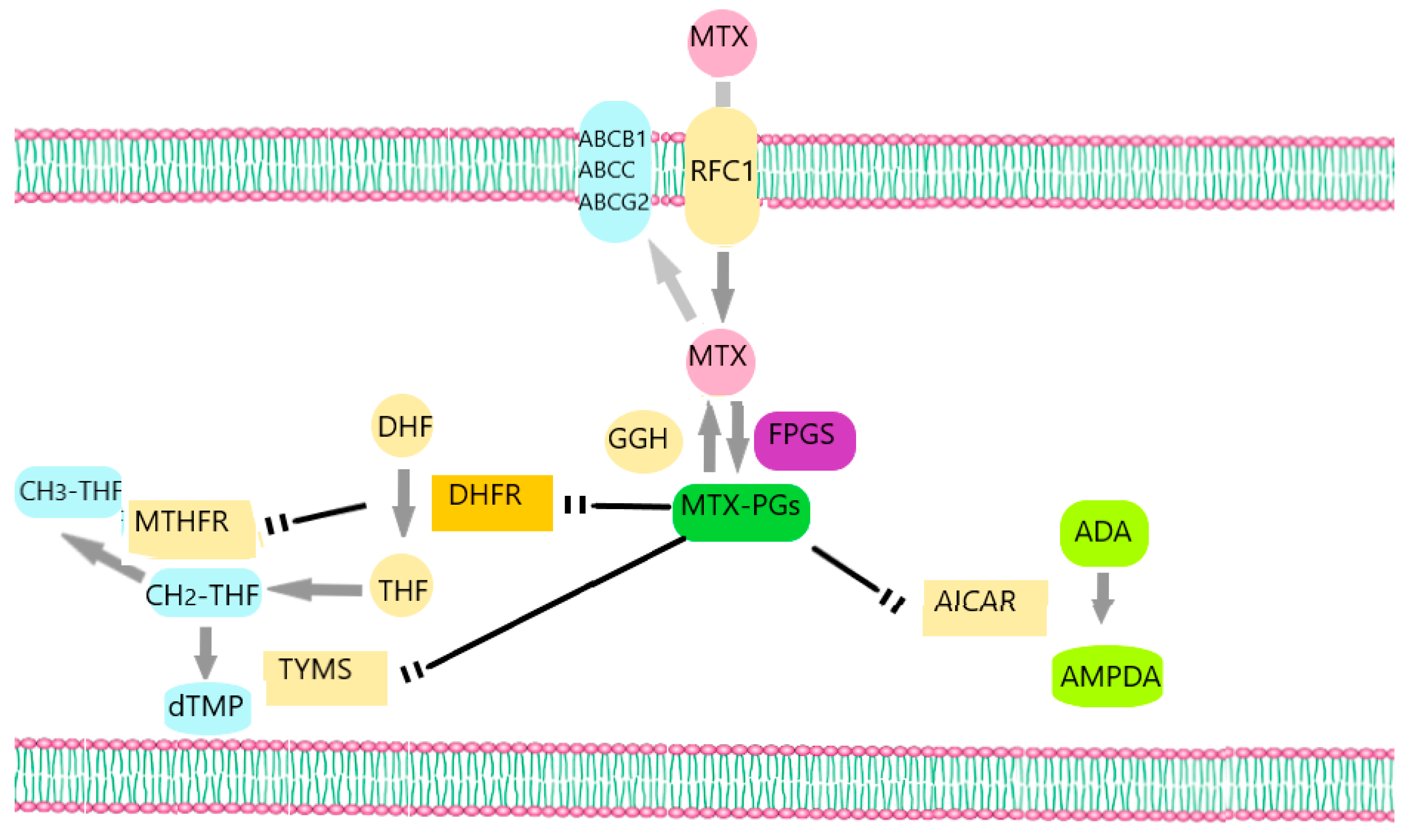 Hematolrep 15 00065 g001 Hematolrep 15 00065 g001