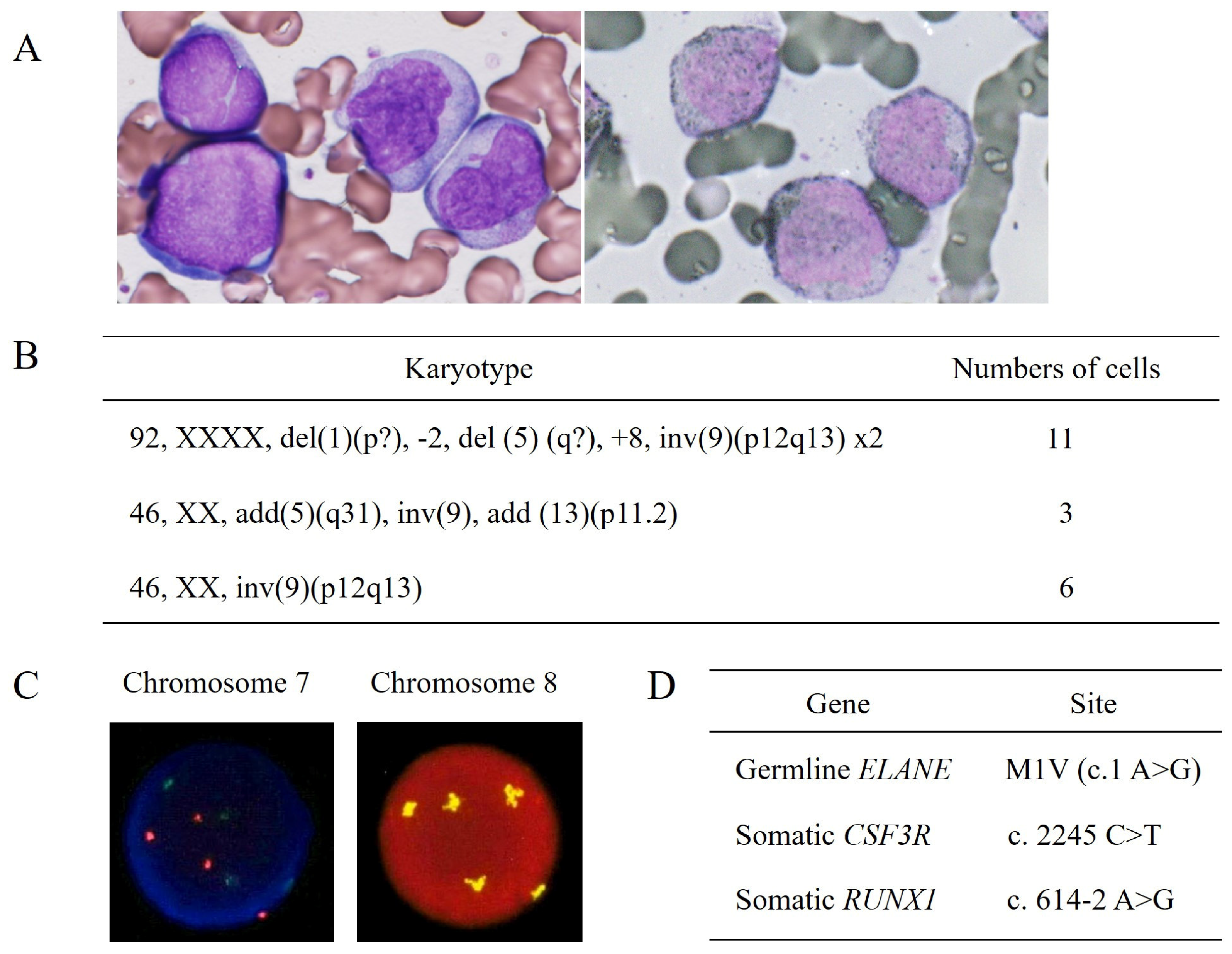 Hematolrep 16 00010 g001
