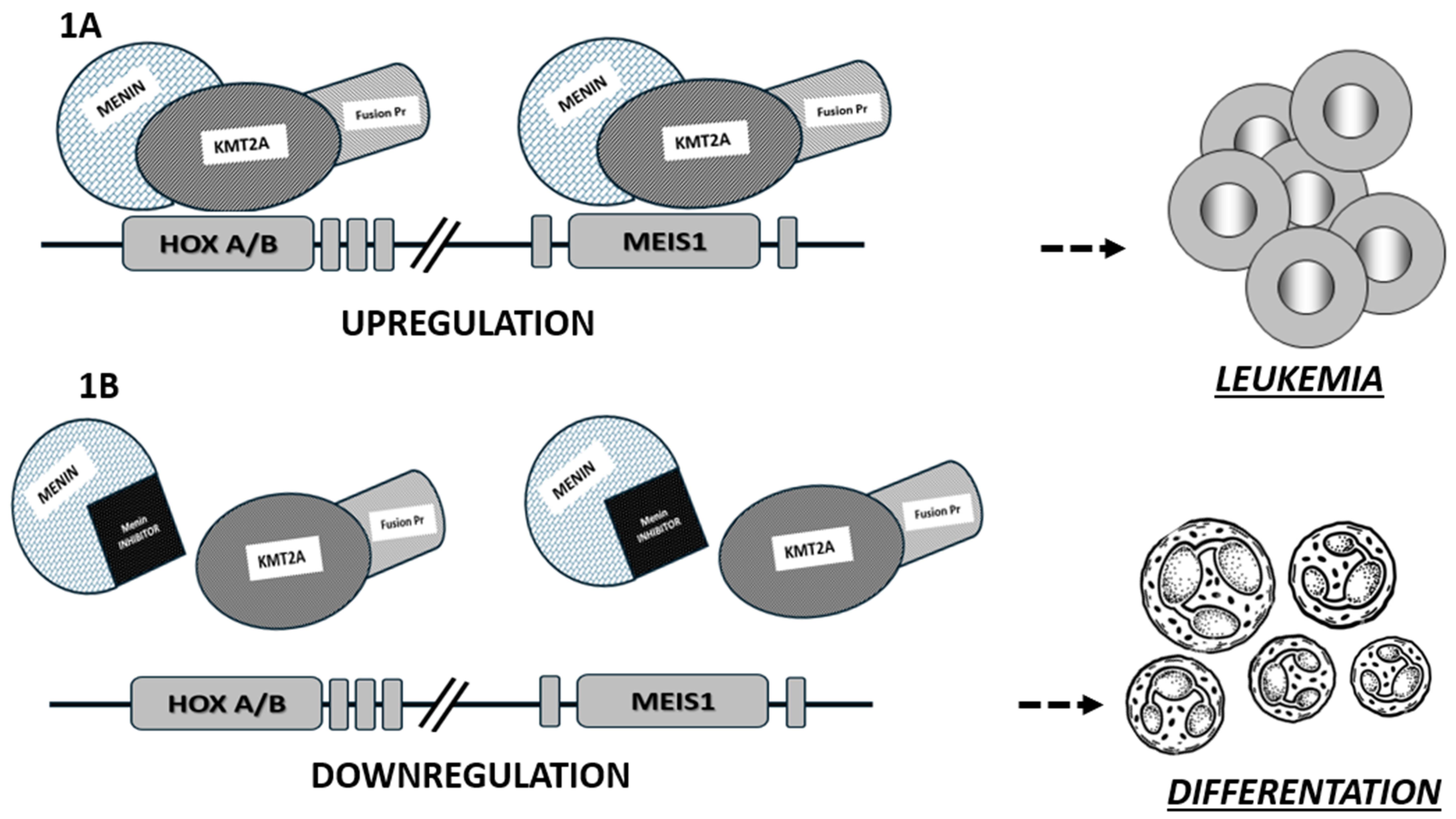 Hematolrep 16 00024 g001