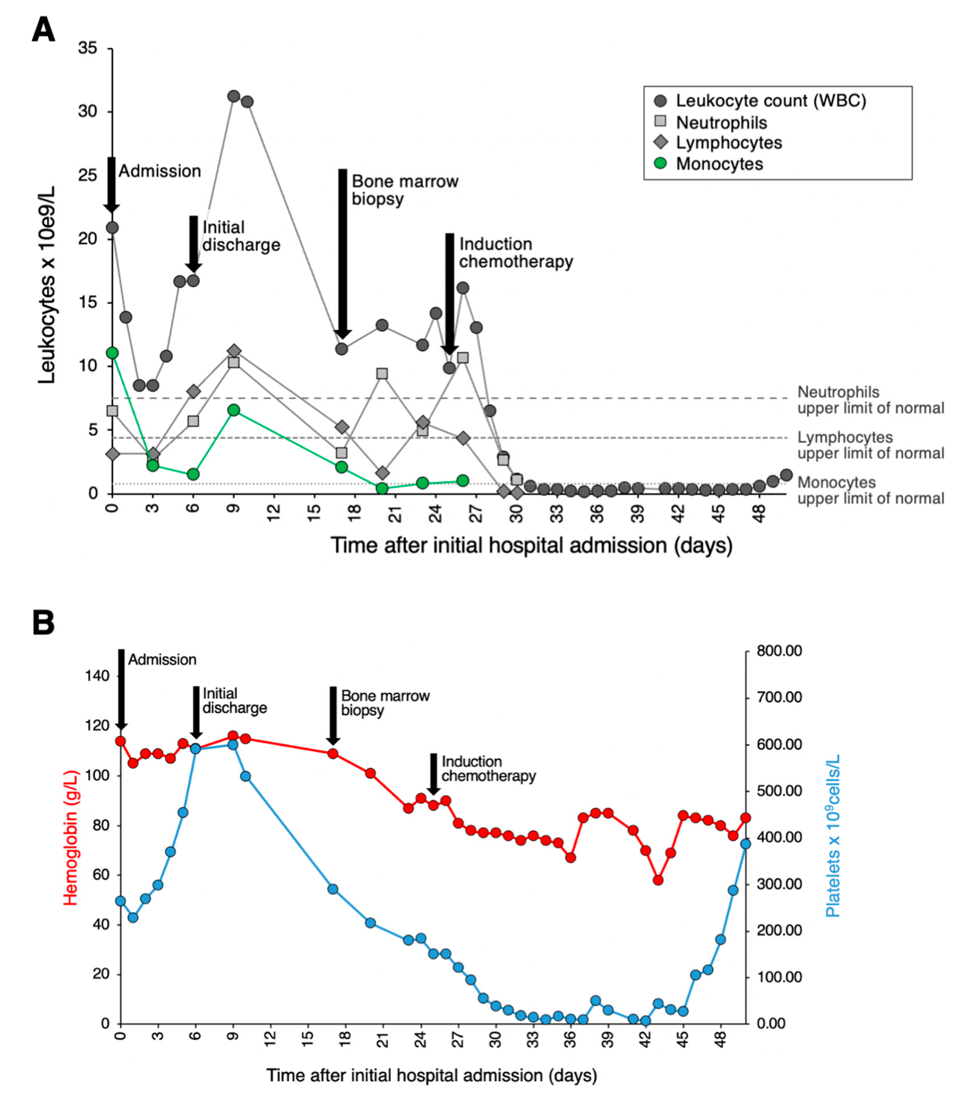 Hematolrep 16 00033 g001
