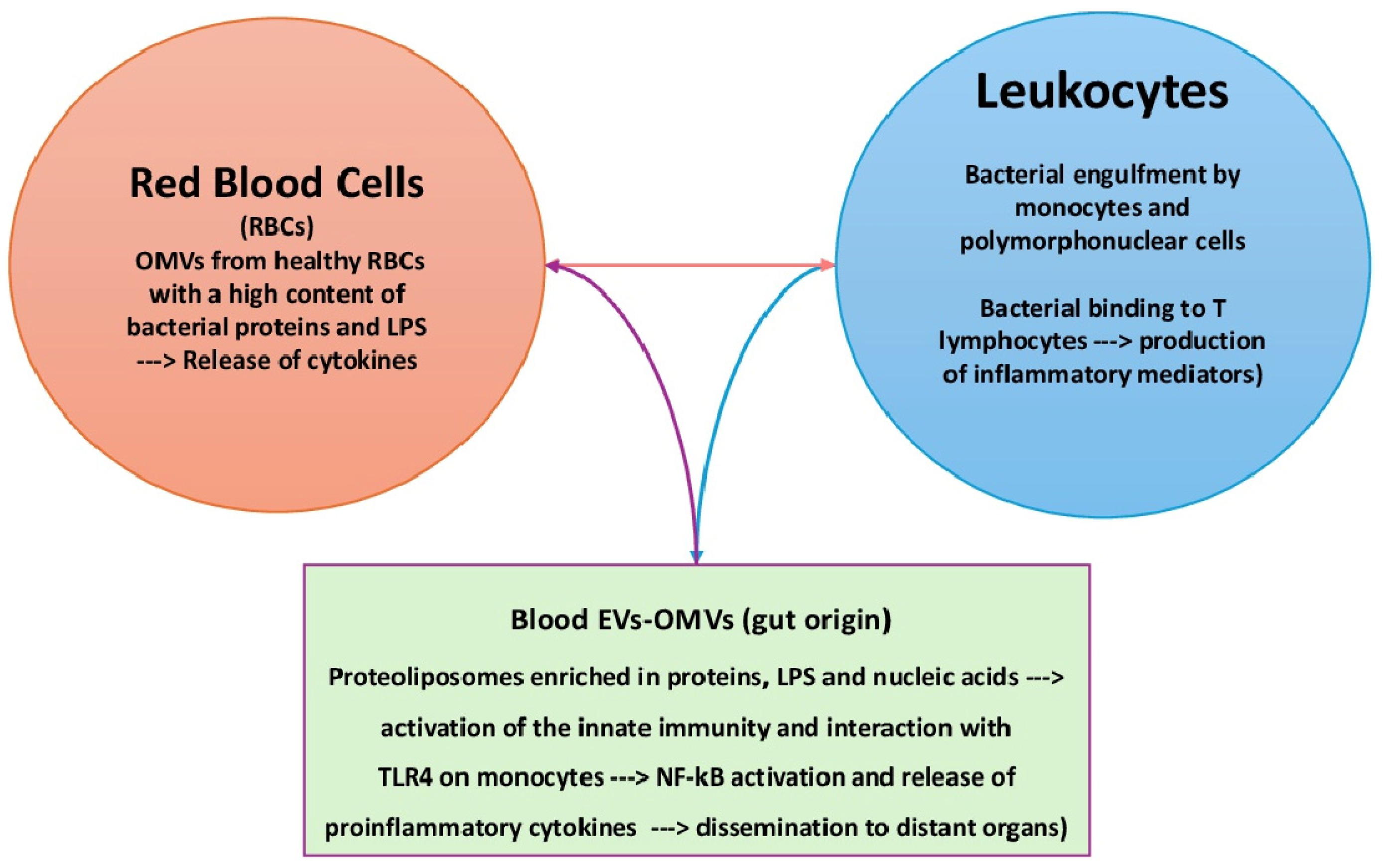 Hematolrep 16 00043 g001
