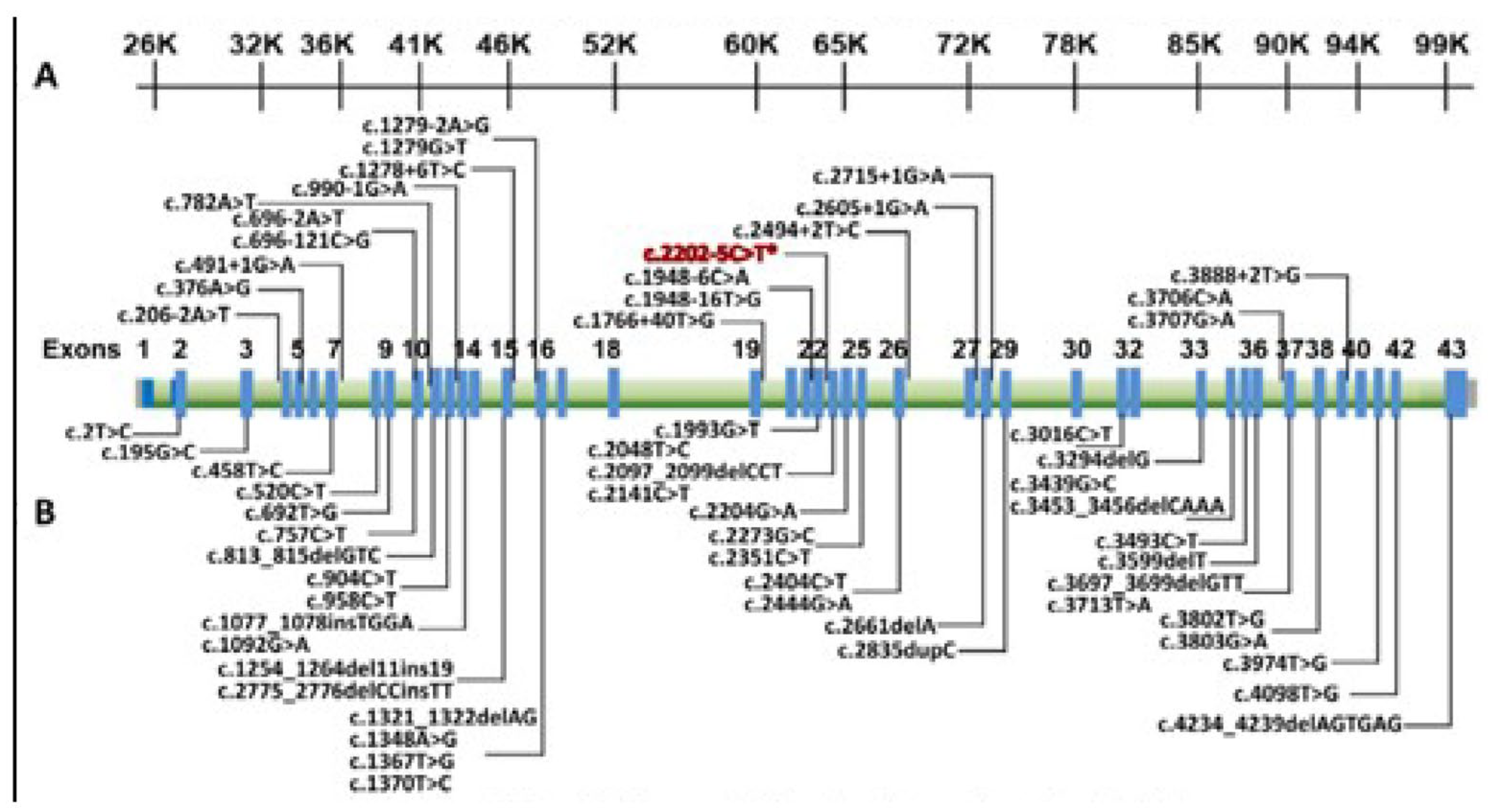 Hematolrep 16 00045 g001 Hematolrep 16 00045 g001