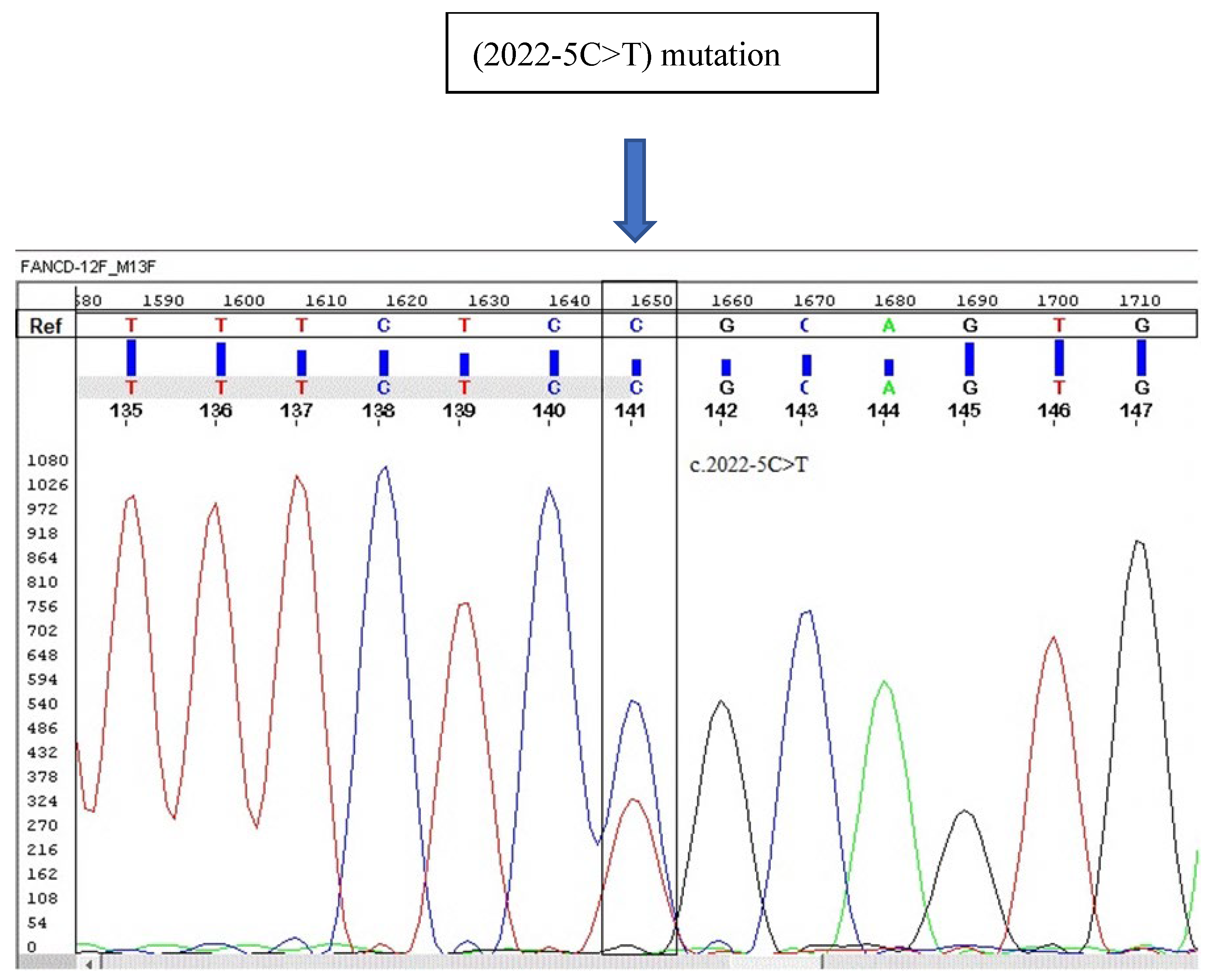 Hematolrep 16 00045 g002 Hematolrep 16 00045 g002
