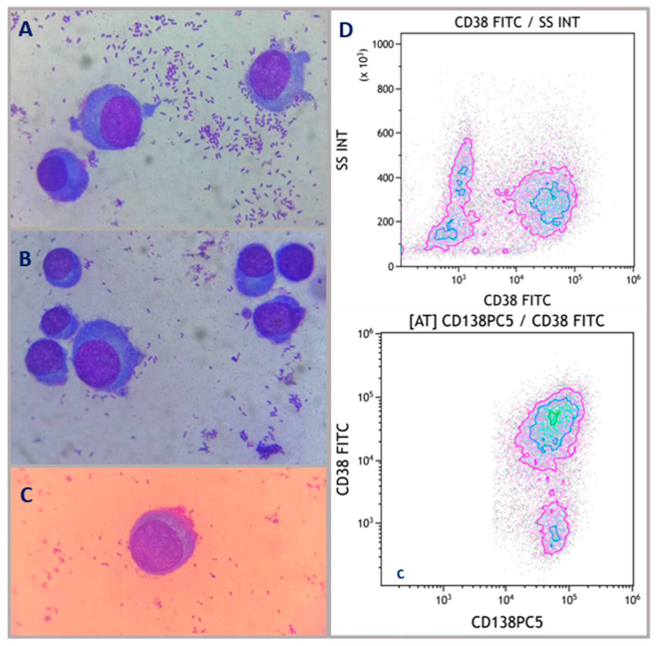 Hematolrep 16 00052 g002