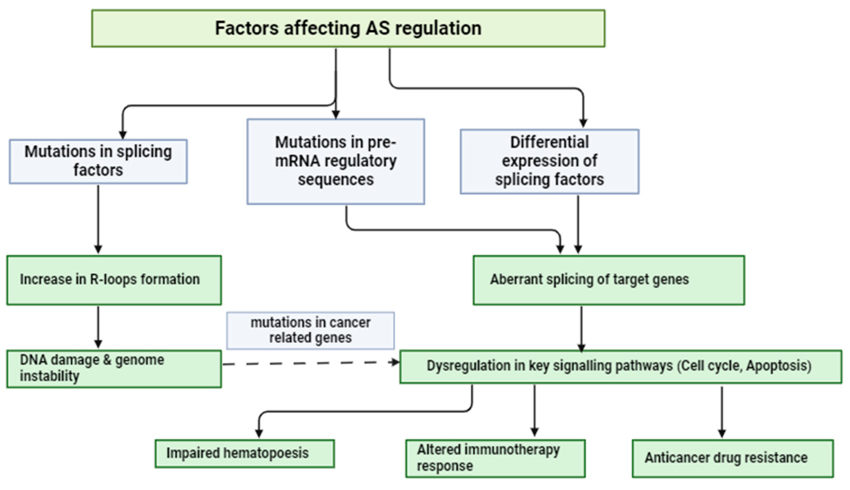 Hematolrep 16 00066 g002