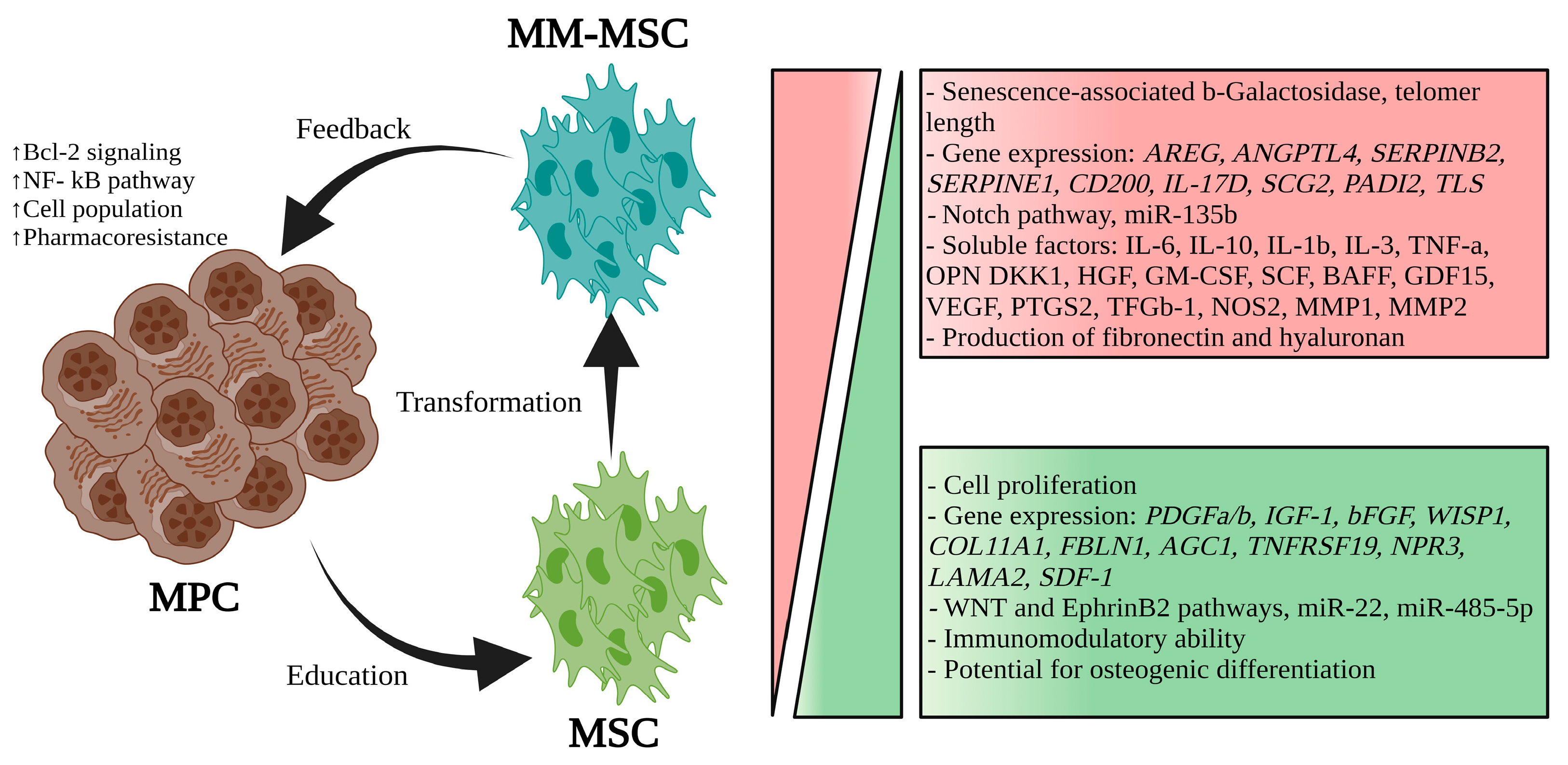 Hematolrep 16 00070 g001