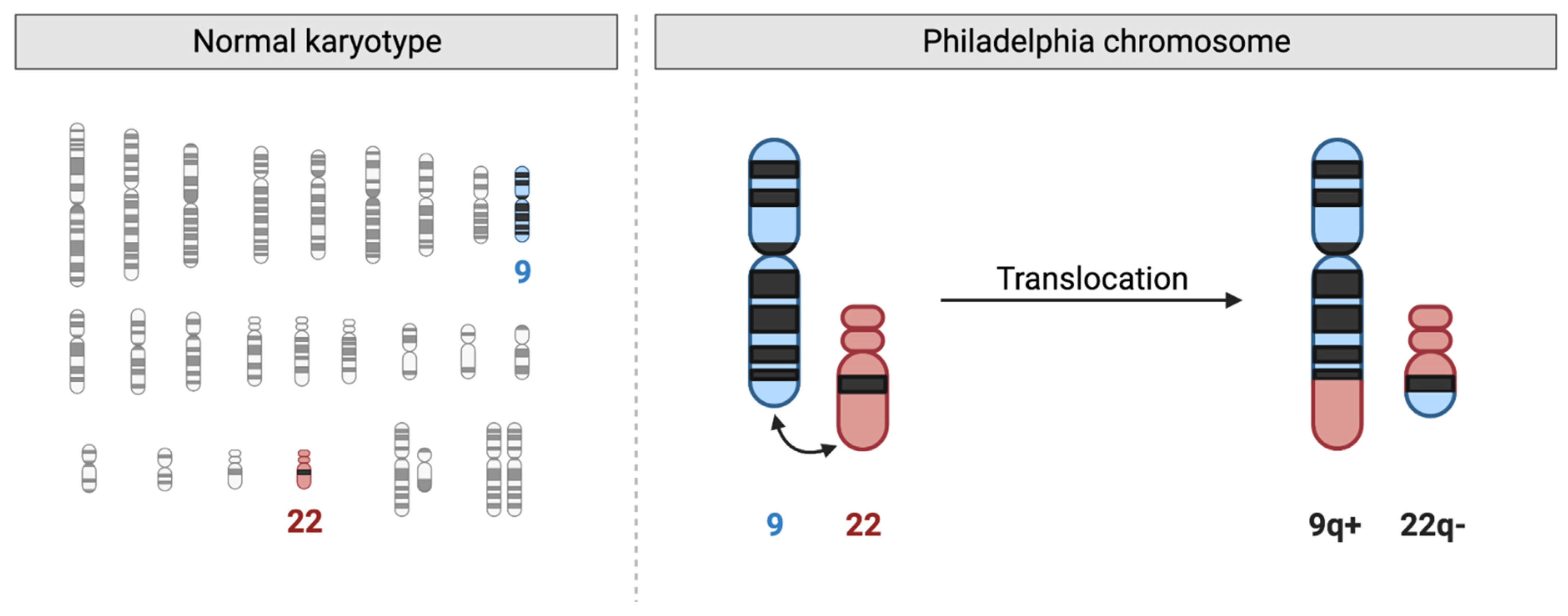 Hematolrep 17 00018 g003