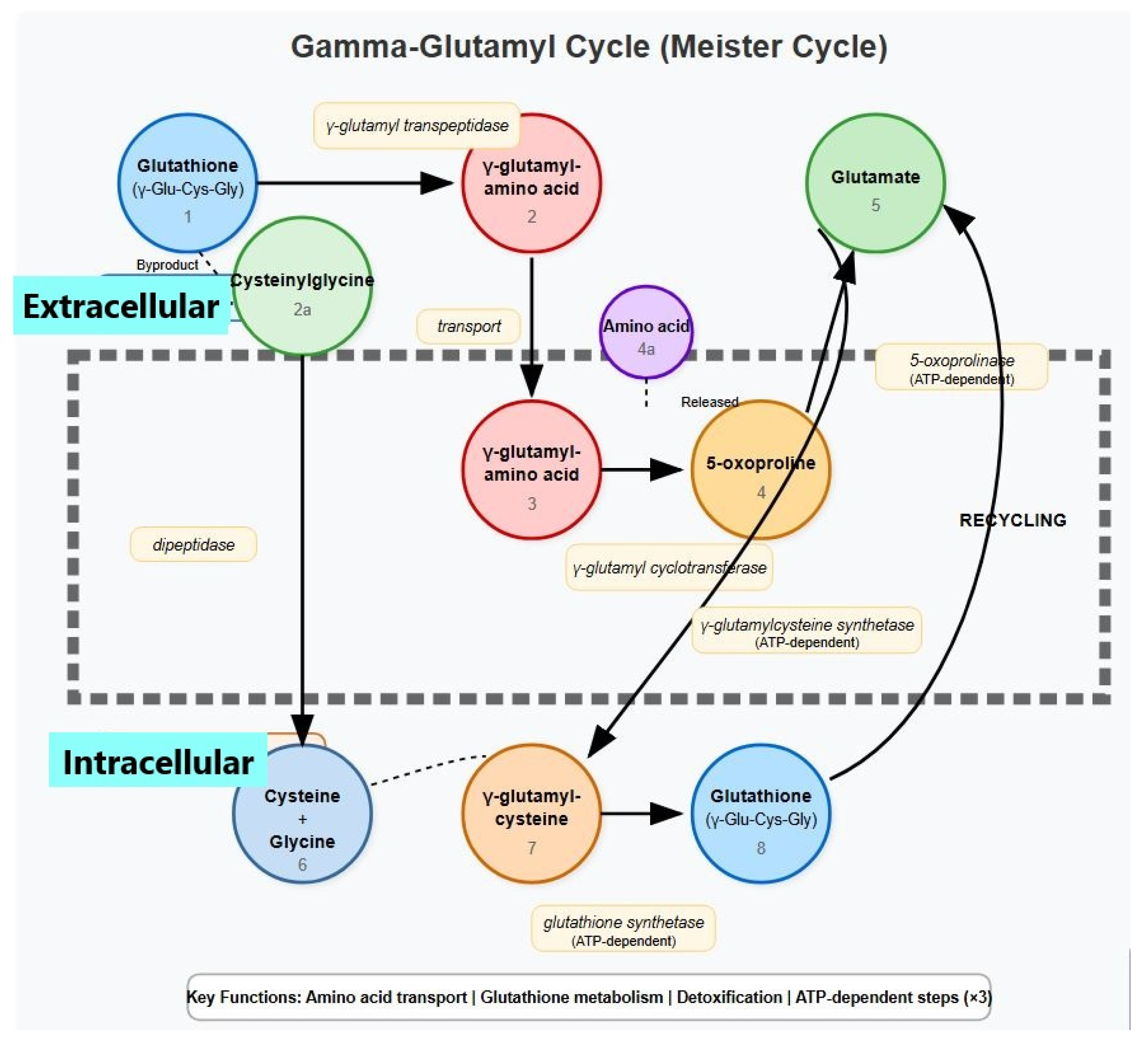 Hematolrep 17 00020 g001 Hematolrep 17 00020 g001
