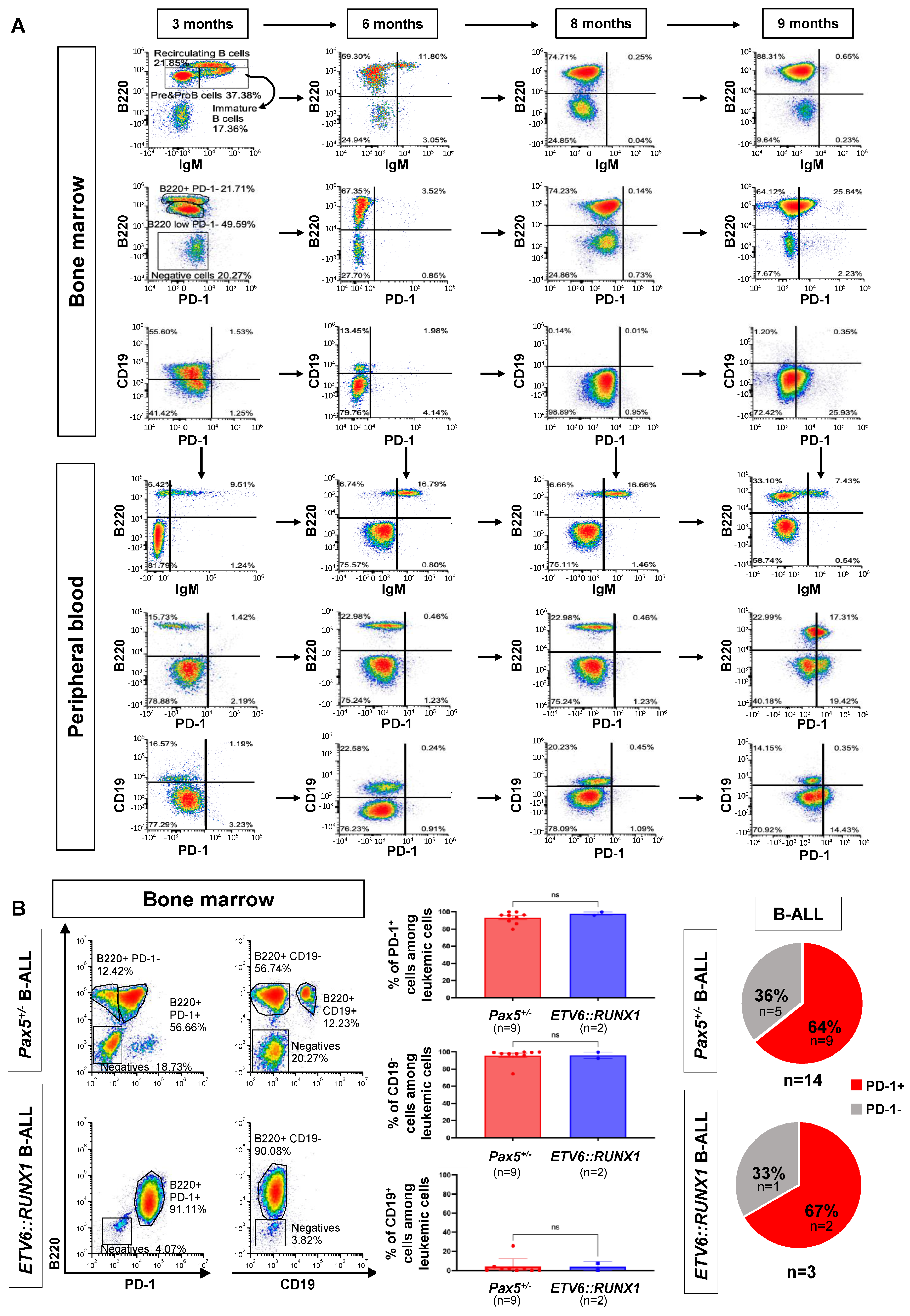 Hematolrep 17 00061 g001 Hematolrep 17 00061 g001