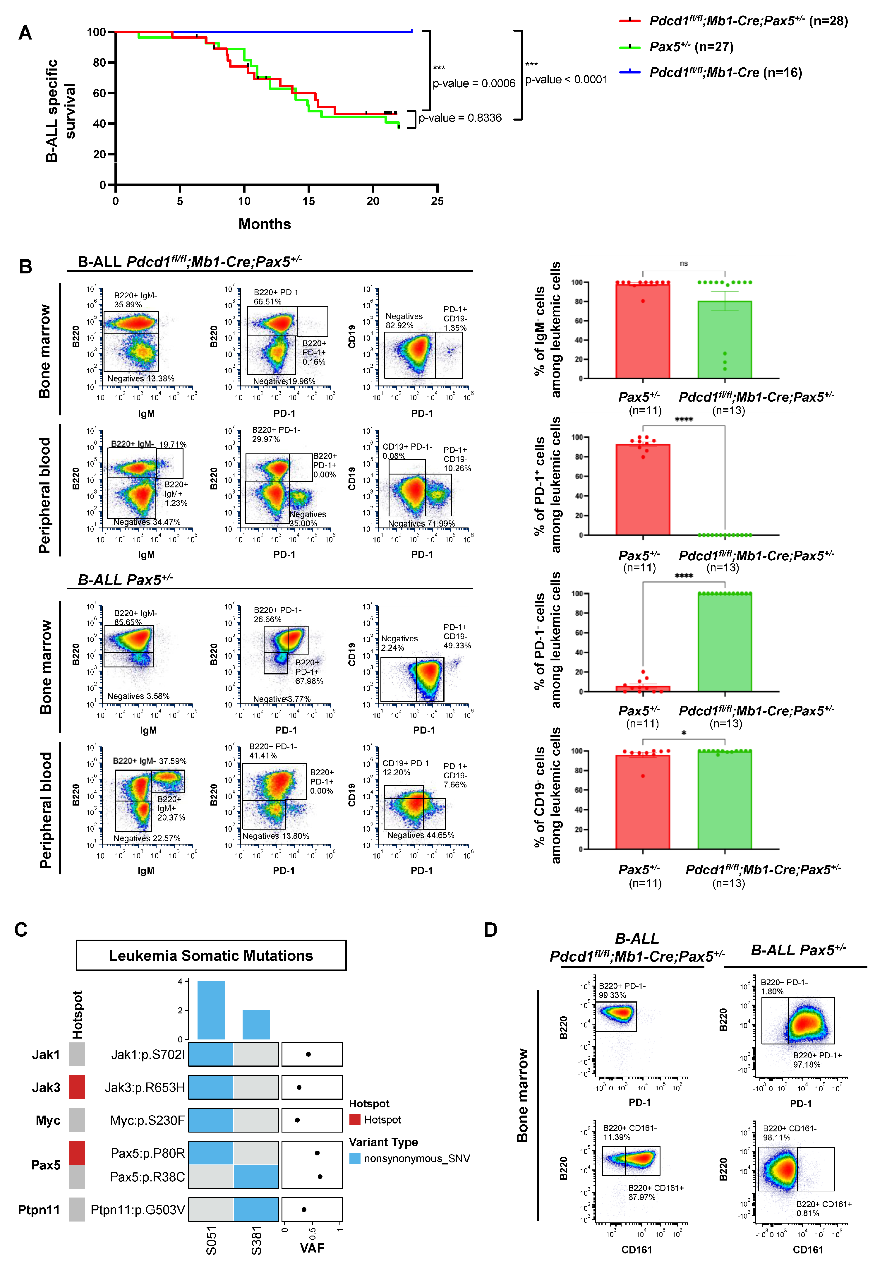 Hematolrep 17 00061 g003 Hematolrep 17 00061 g003