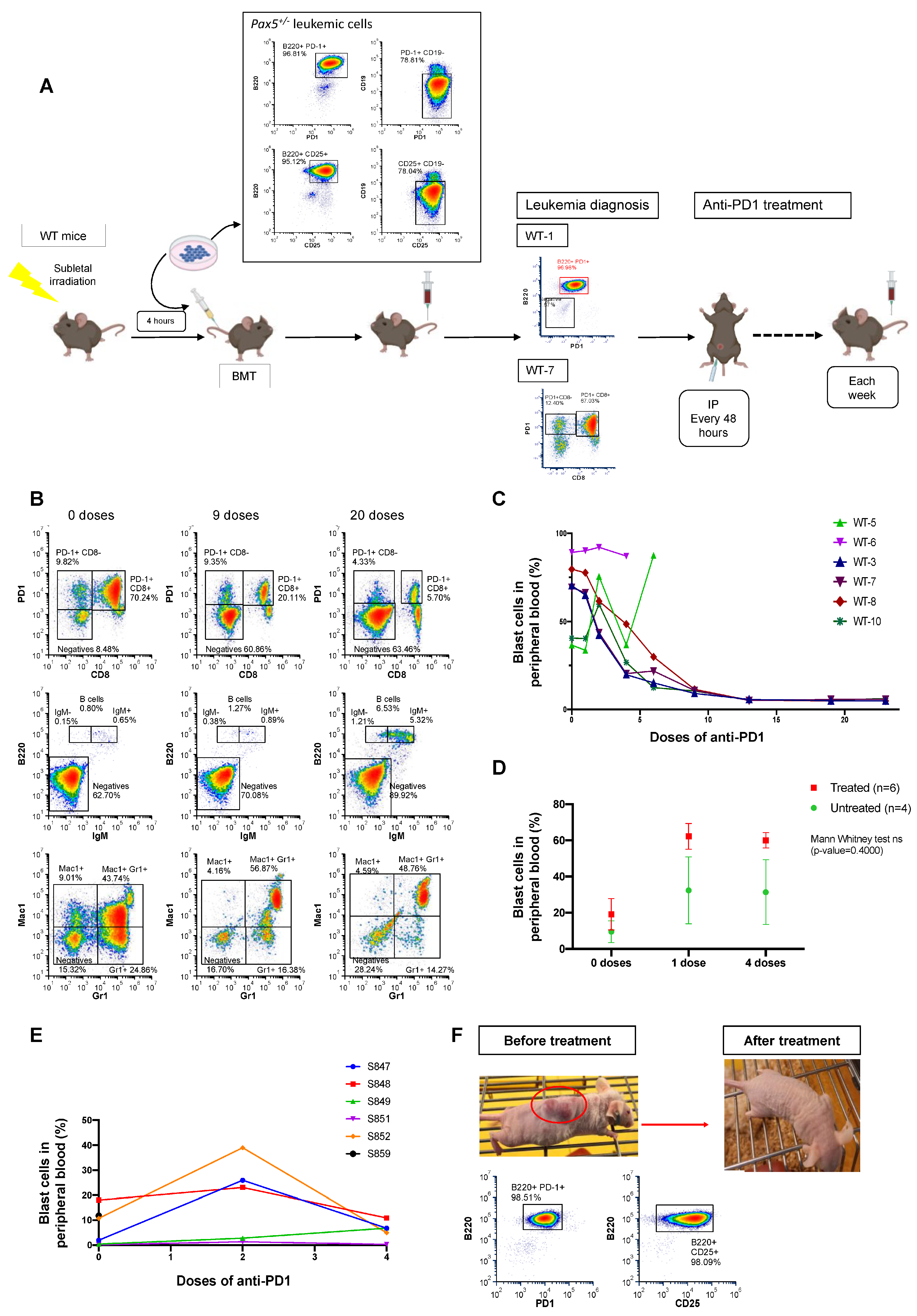 Hematolrep 17 00061 g004 Hematolrep 17 00061 g004