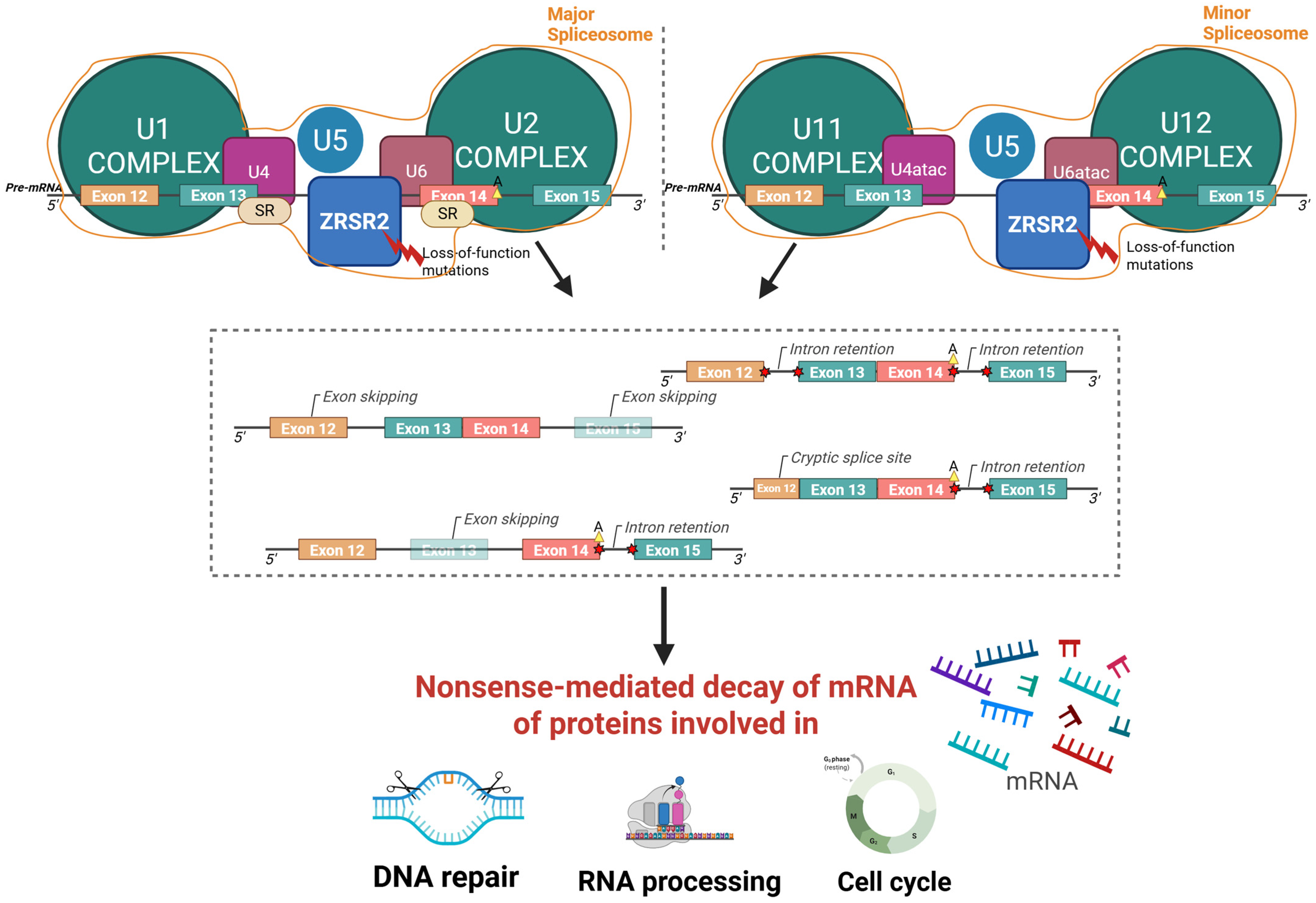Hematolrep 17 00064 g003