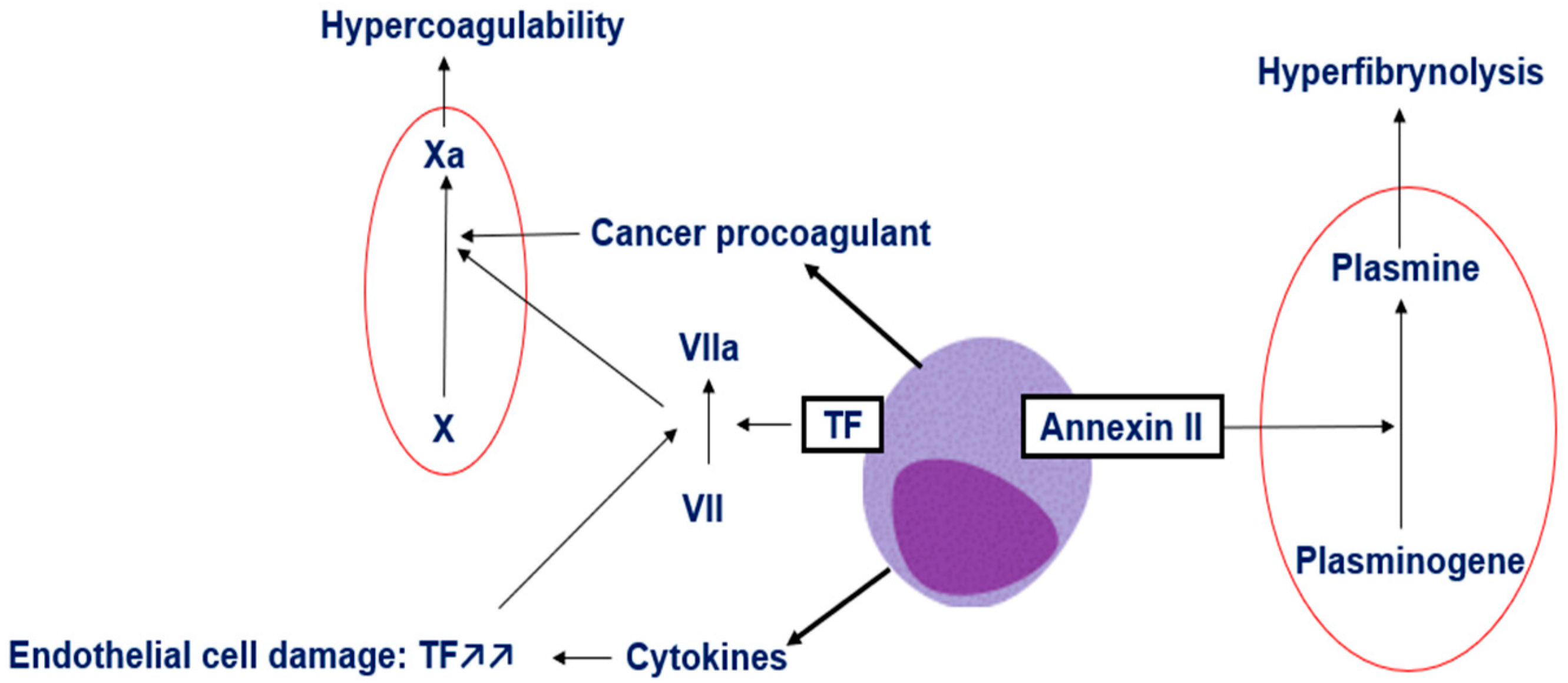 Hematolrep 17 00066 g002