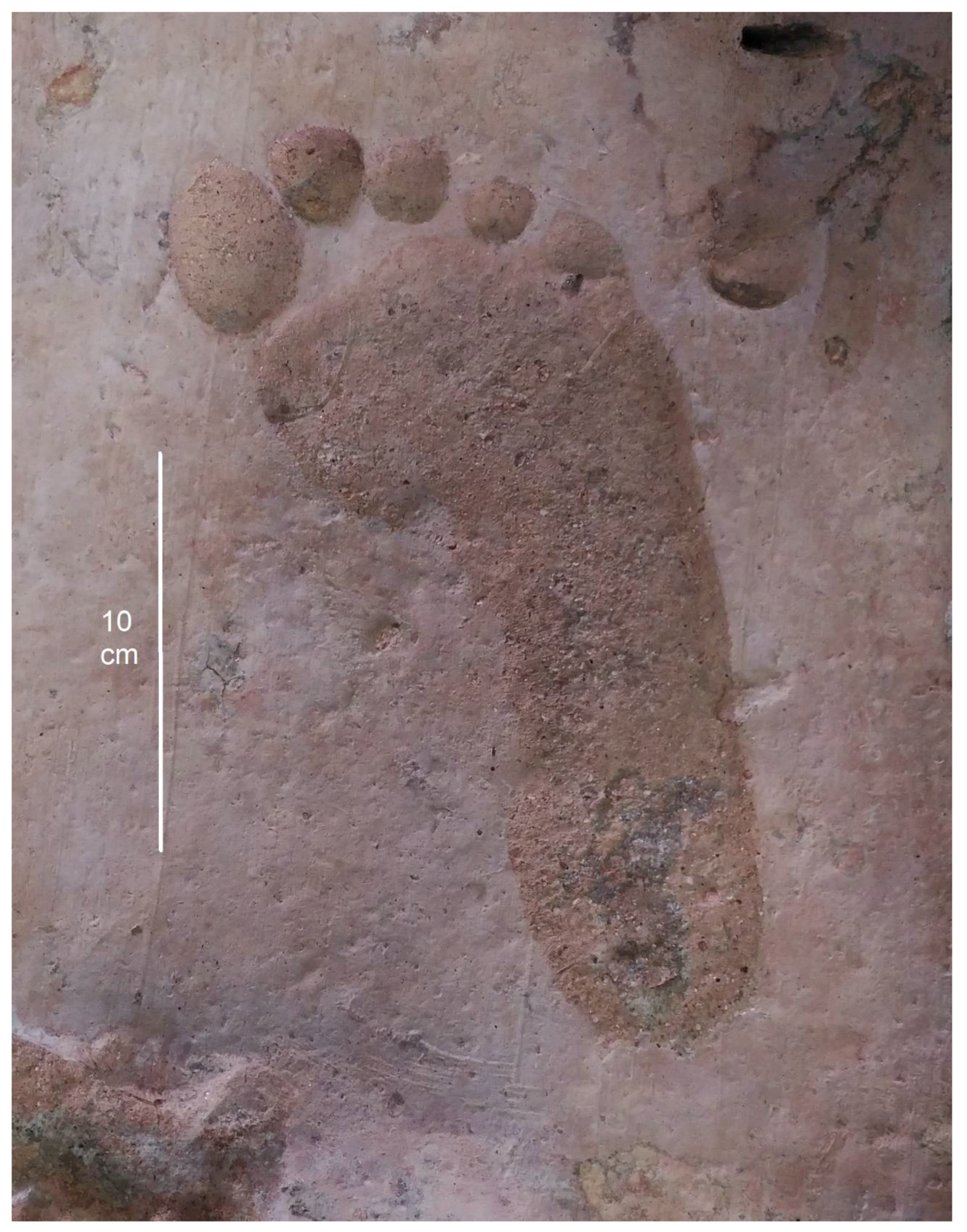 Heritage 01 00003 g001