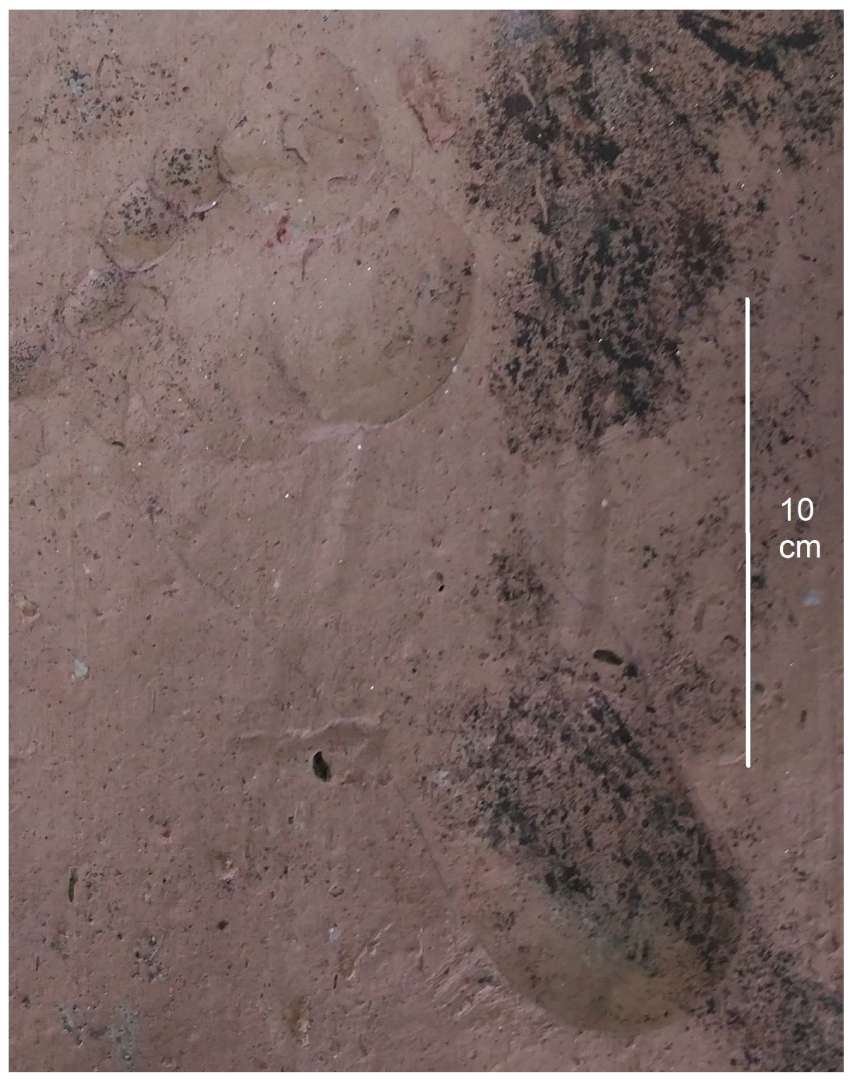 Heritage 01 00003 g003