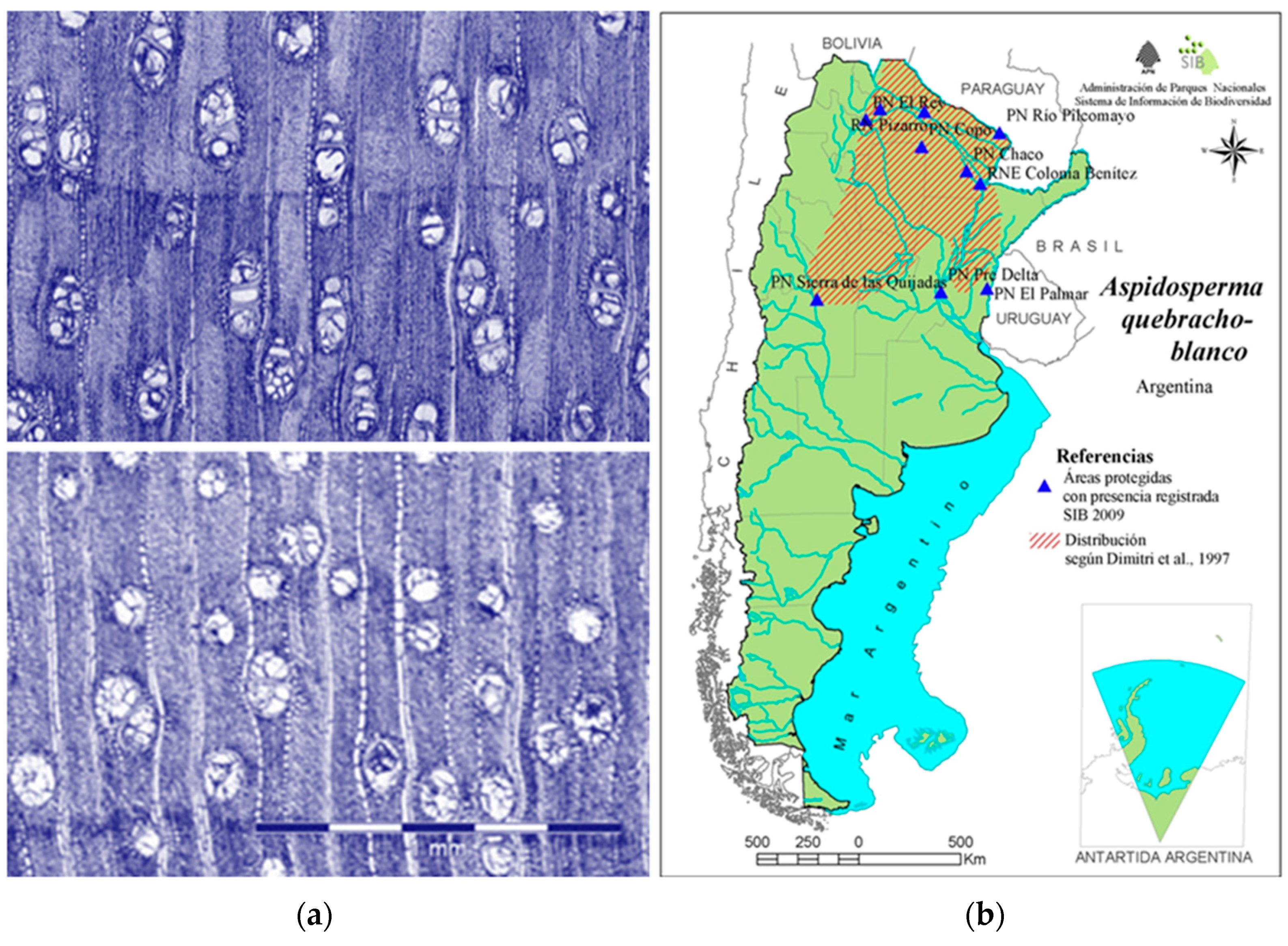 Heritage 01 00005 g003 550