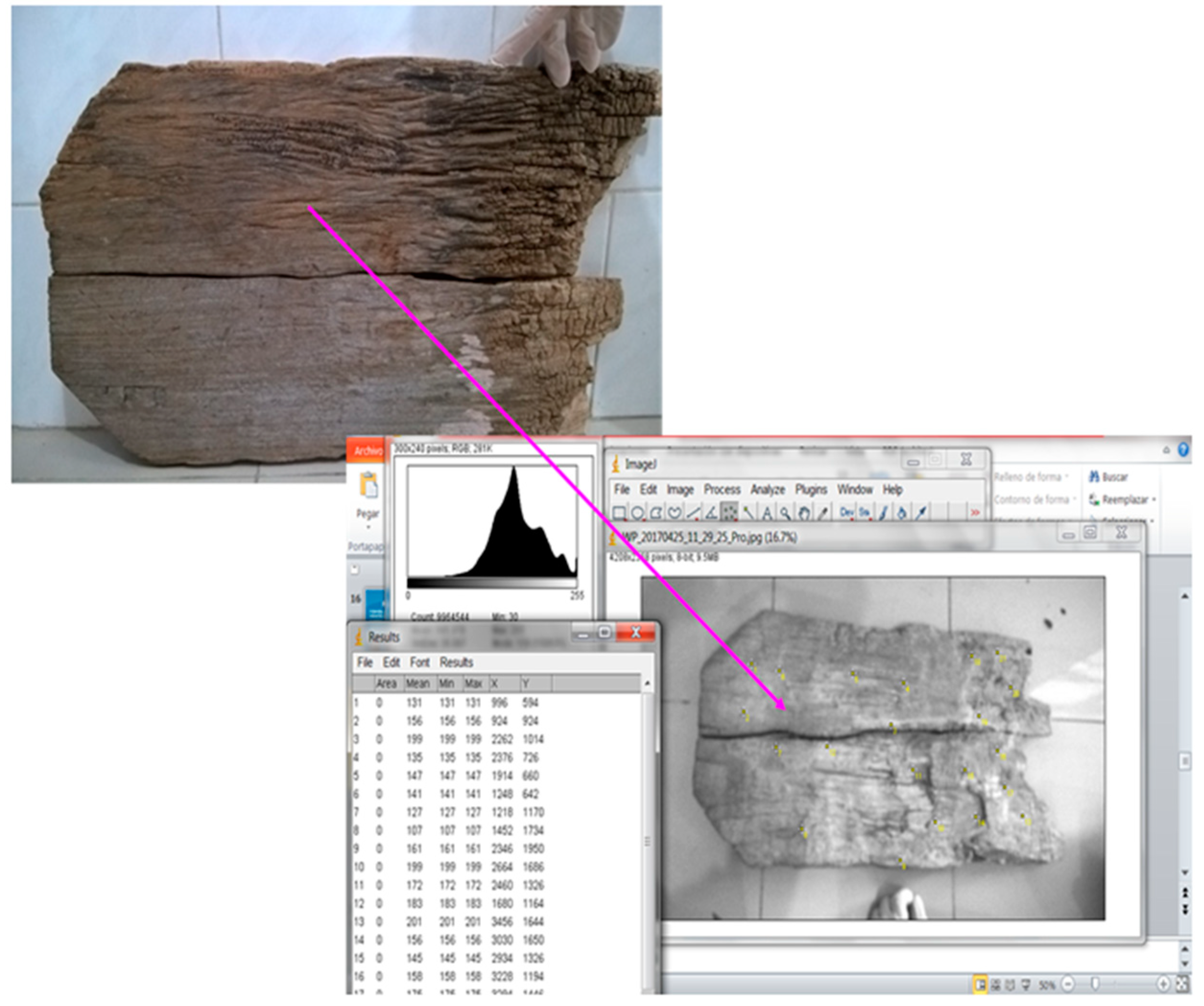 Heritage 01 00005 g005 550