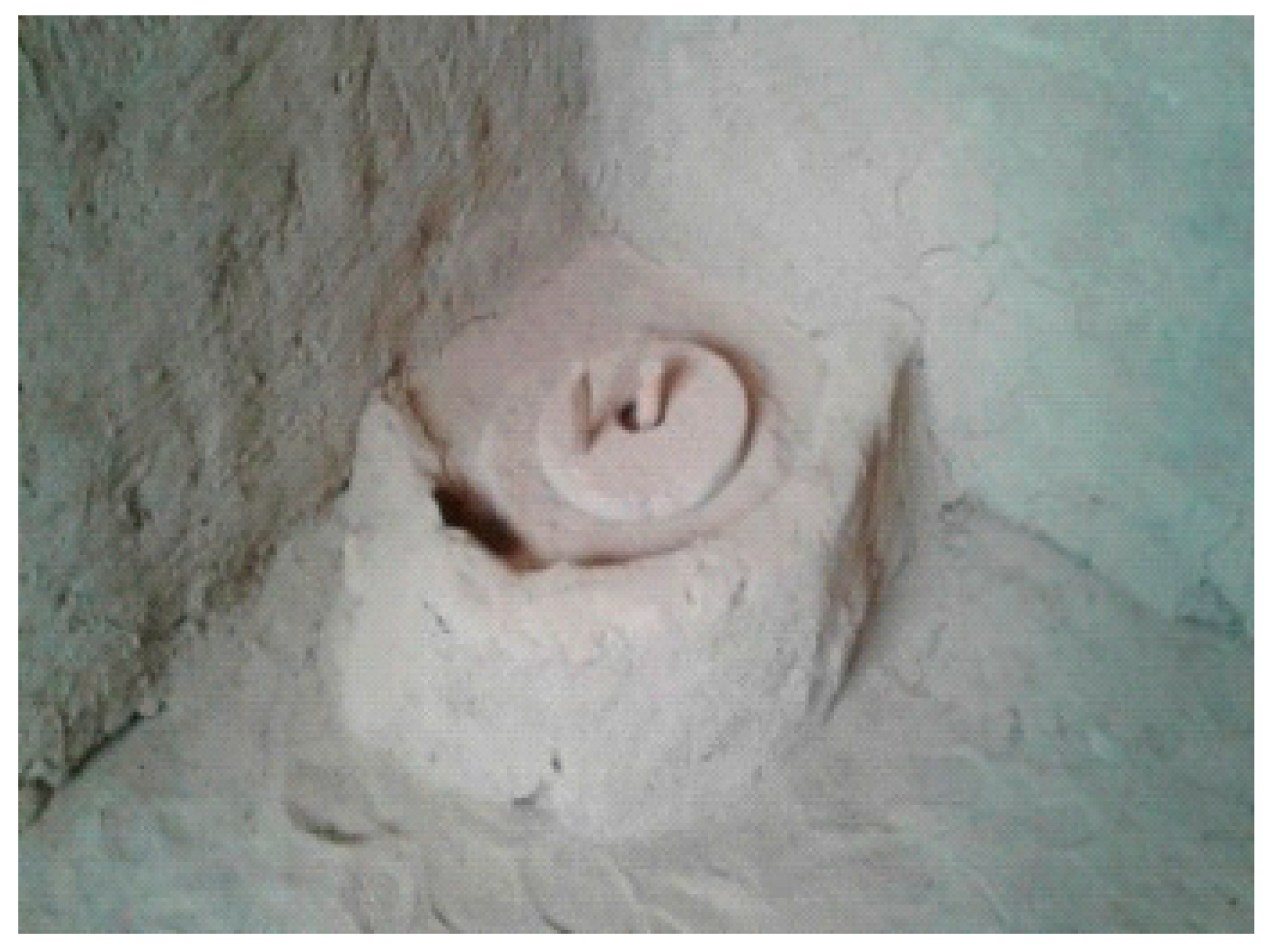 Heritage 01 00017 g004 550