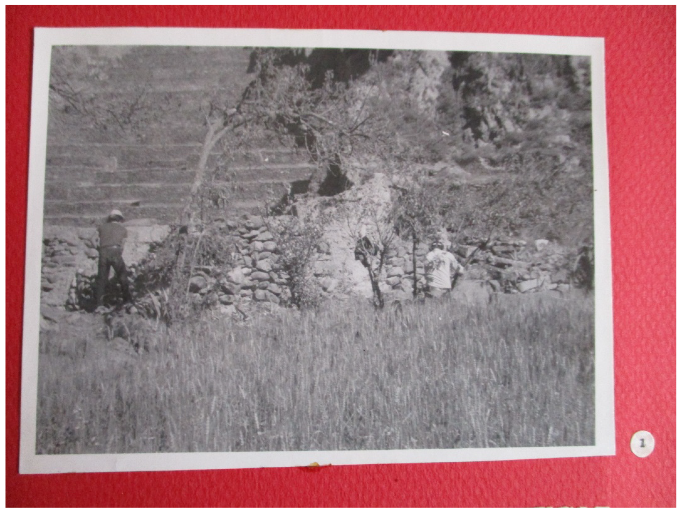 Heritage 01 00027 g007