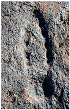 Heritage 02 00004 i006