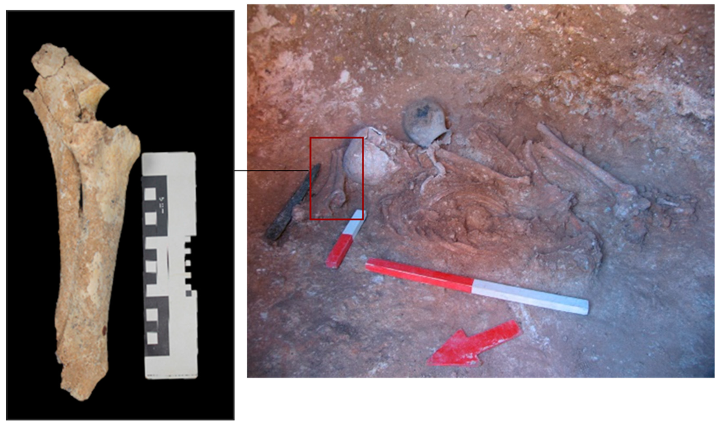 Heritage 02 00016 g007 550