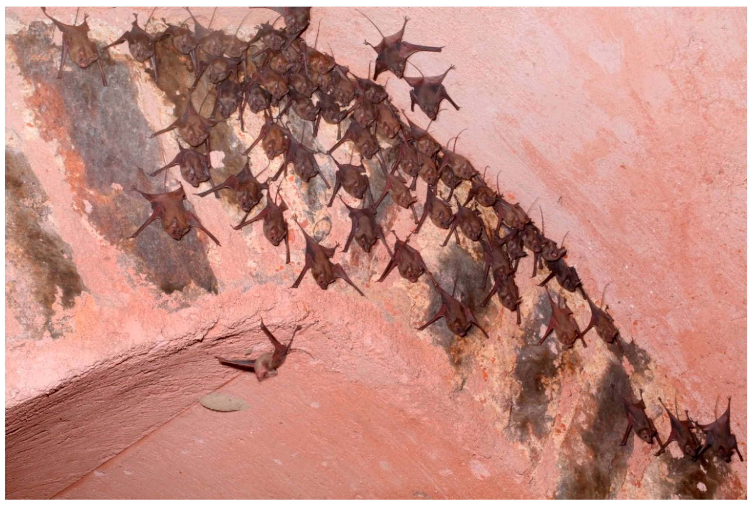 Heritage 02 00036 g002