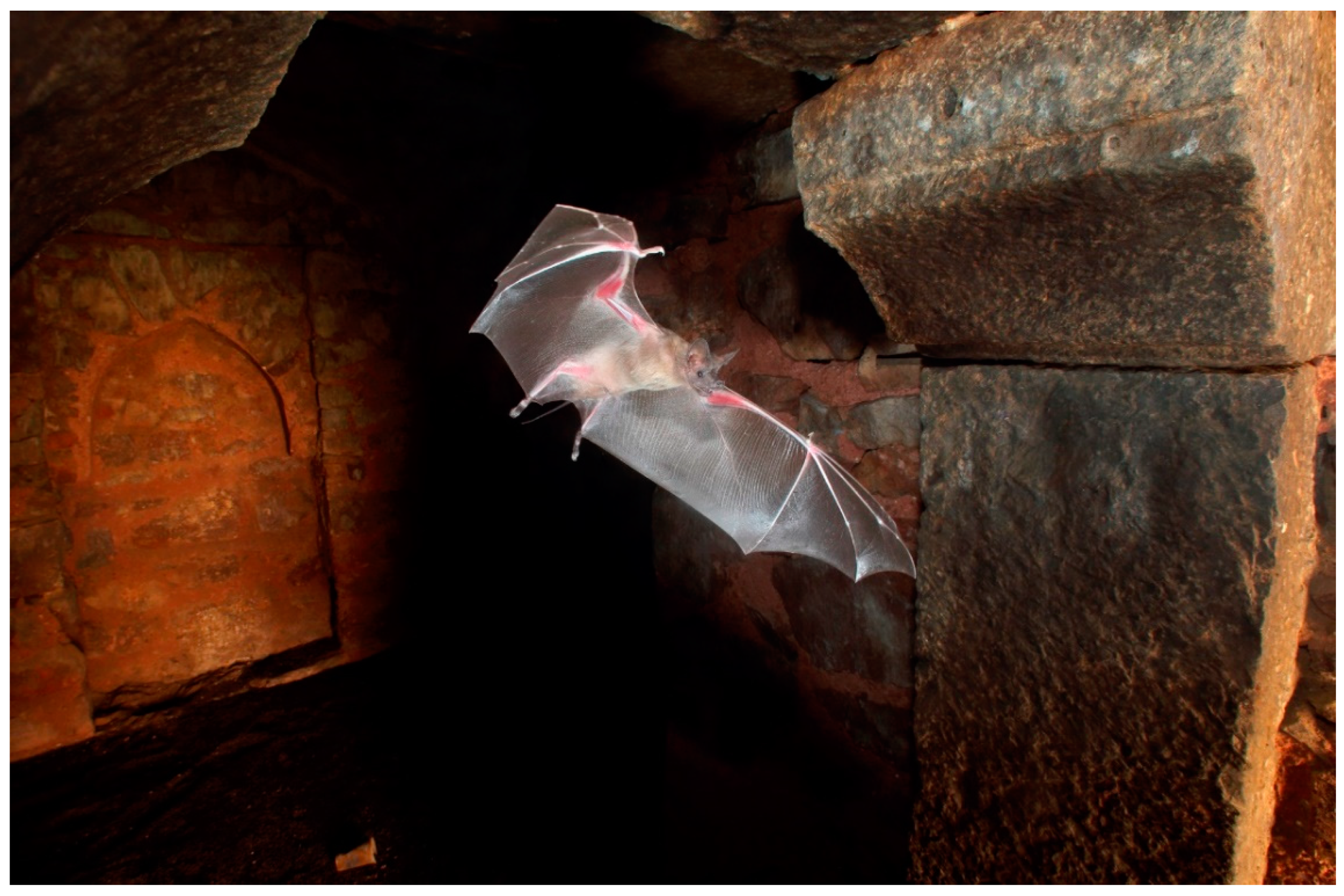 Heritage 02 00036 g003