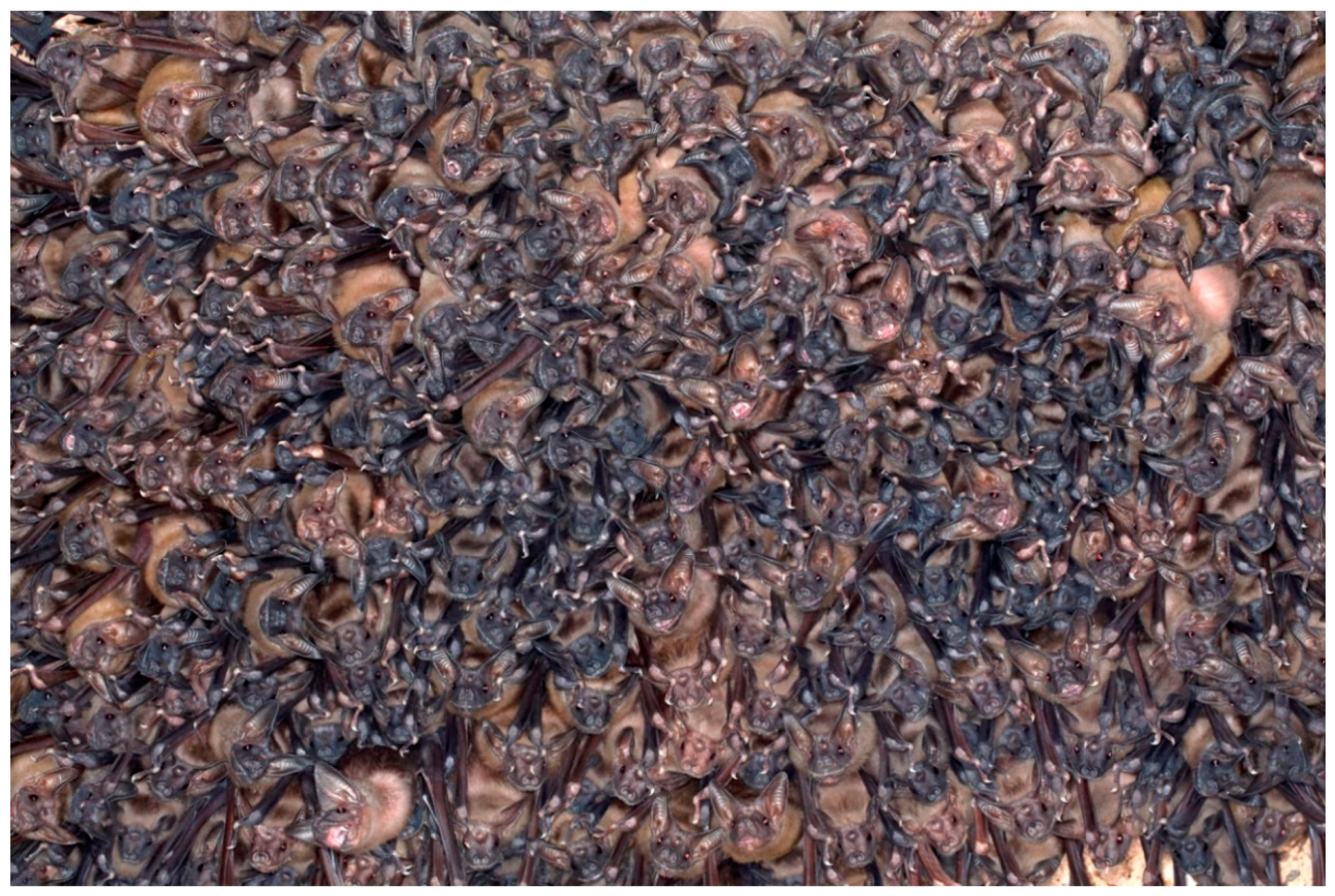 Heritage 02 00036 g004