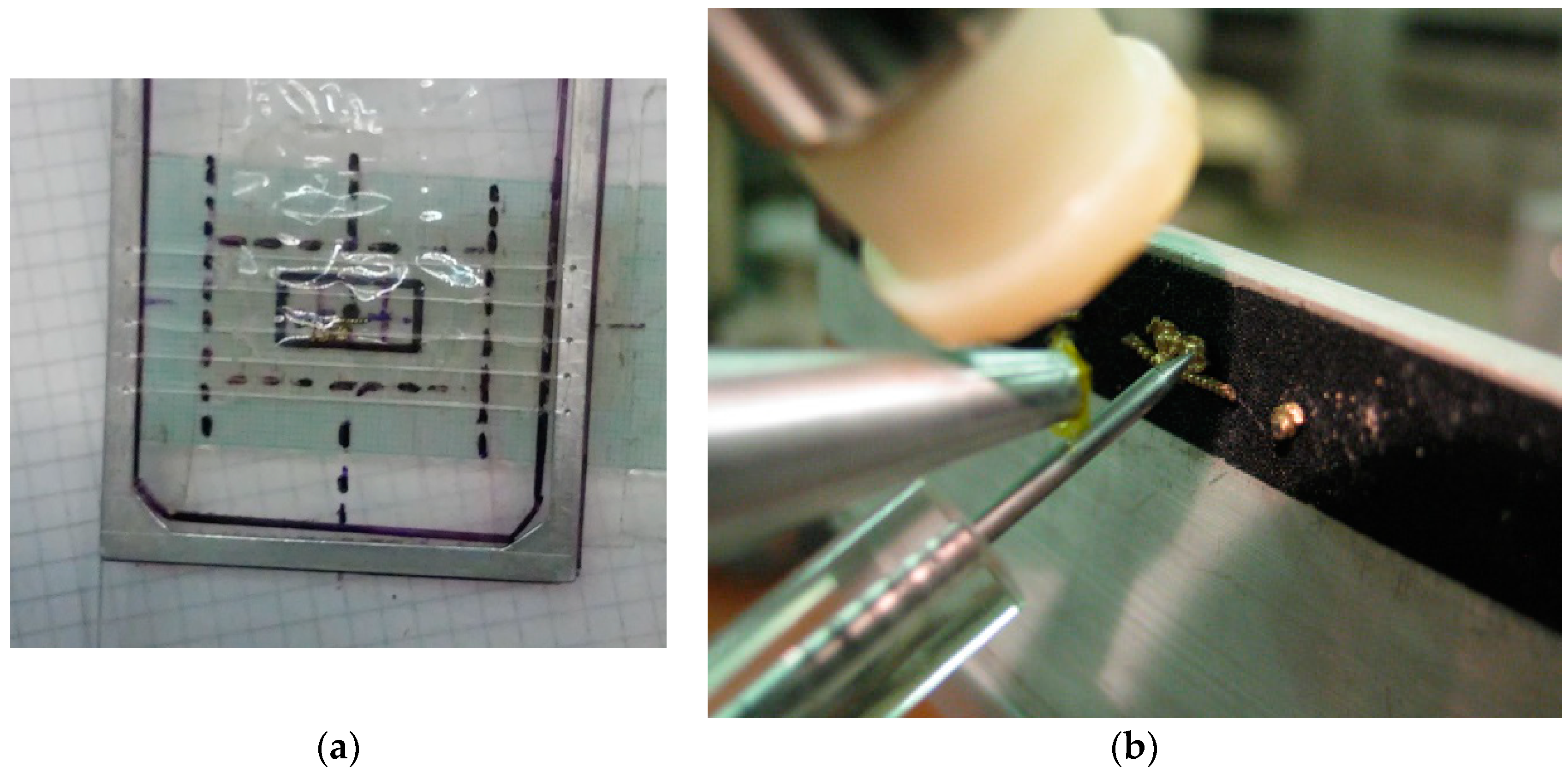 Heritage 02 00055 g002 550